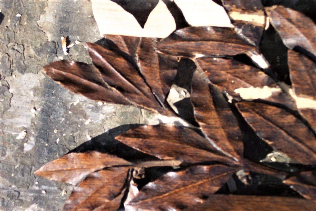 Design_Ramiro Guarderas_Restoration_8.jpg