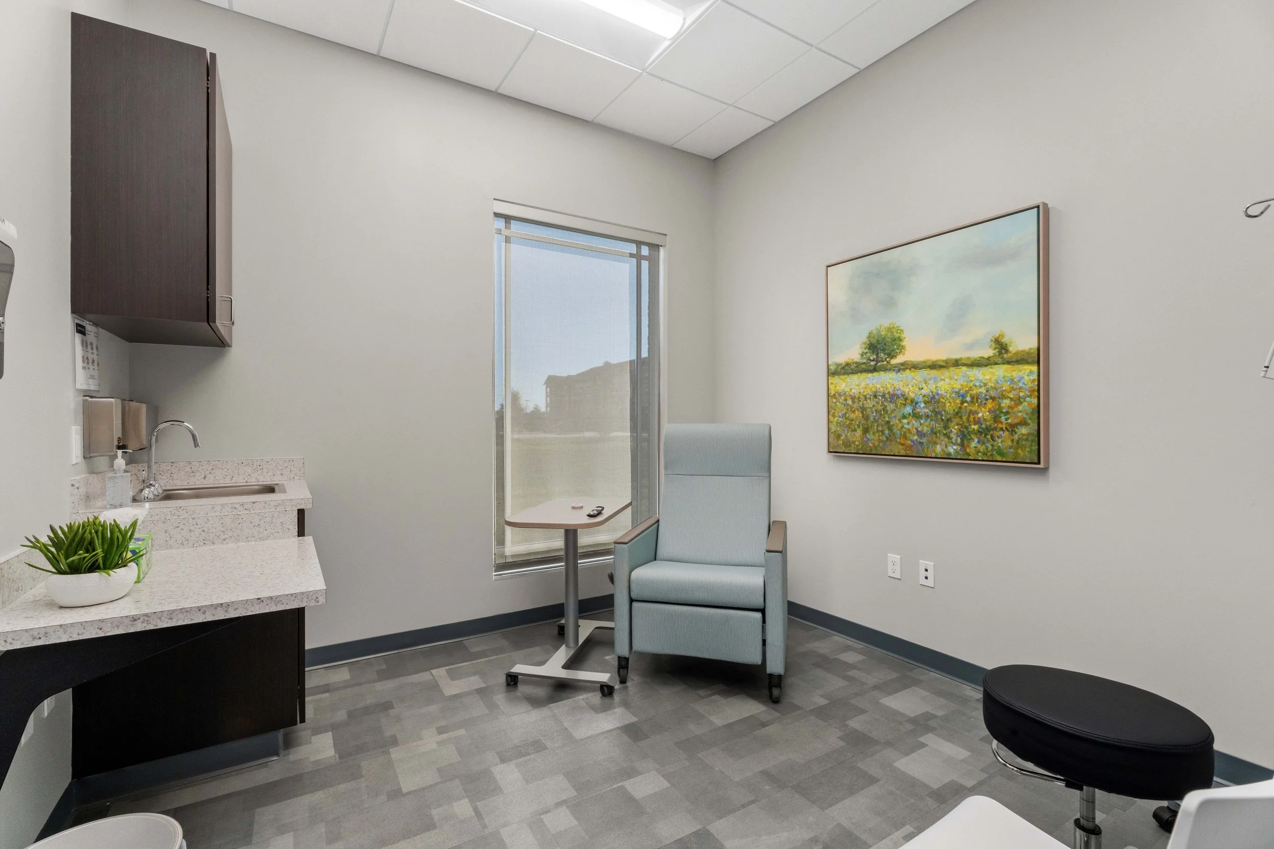 Medical examination room with a hospital bed, a gray armchair, a small table, a window, artwork of a field with trees, and a countertop with a plant.