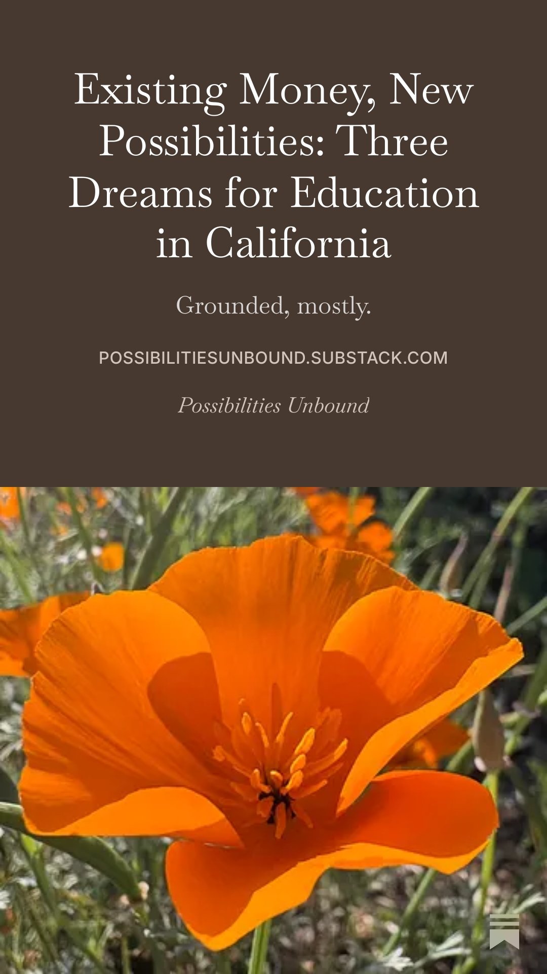 A bright orange California poppy flower in bloom with green foliage in the background.