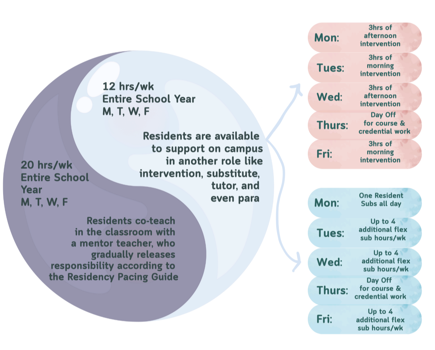 A visual schedule showing a weekly plan for residents' support roles on campus. It includes 12 hours per week during the school year, 20 hours per week year-round, and additional flex hours. The schedule specifies different roles for each day, such as intervention, course work, and substitute support, with details about resident subs and flex hours.