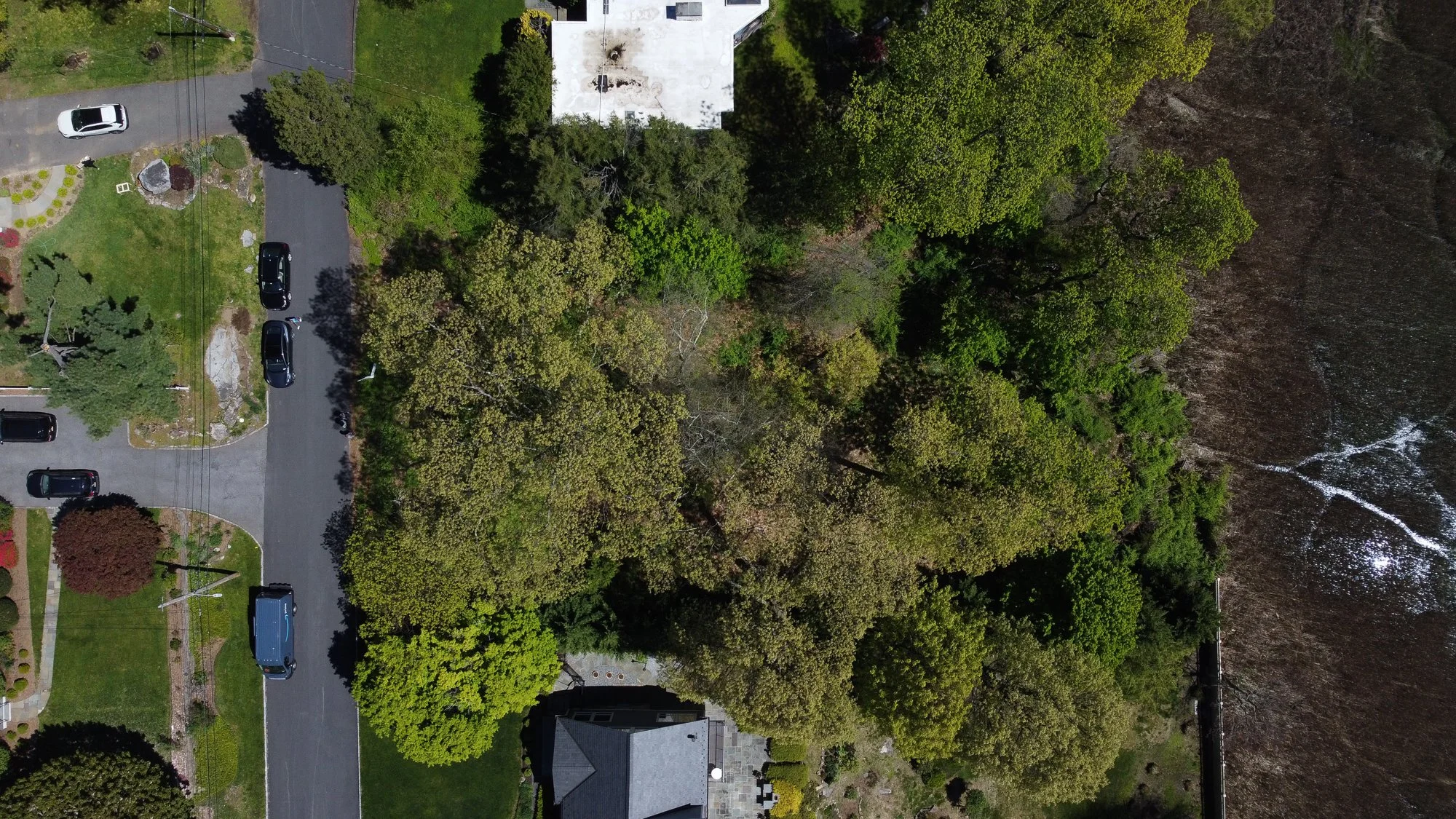 DJI_0891-2-2.jpg