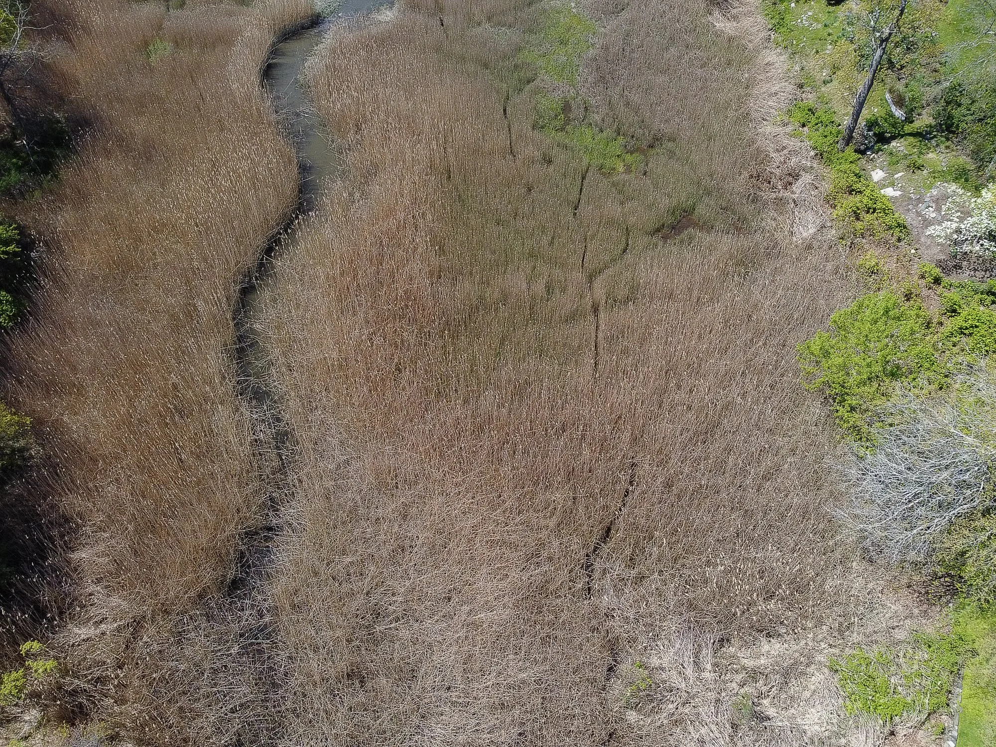 DJI_0017-3.jpg