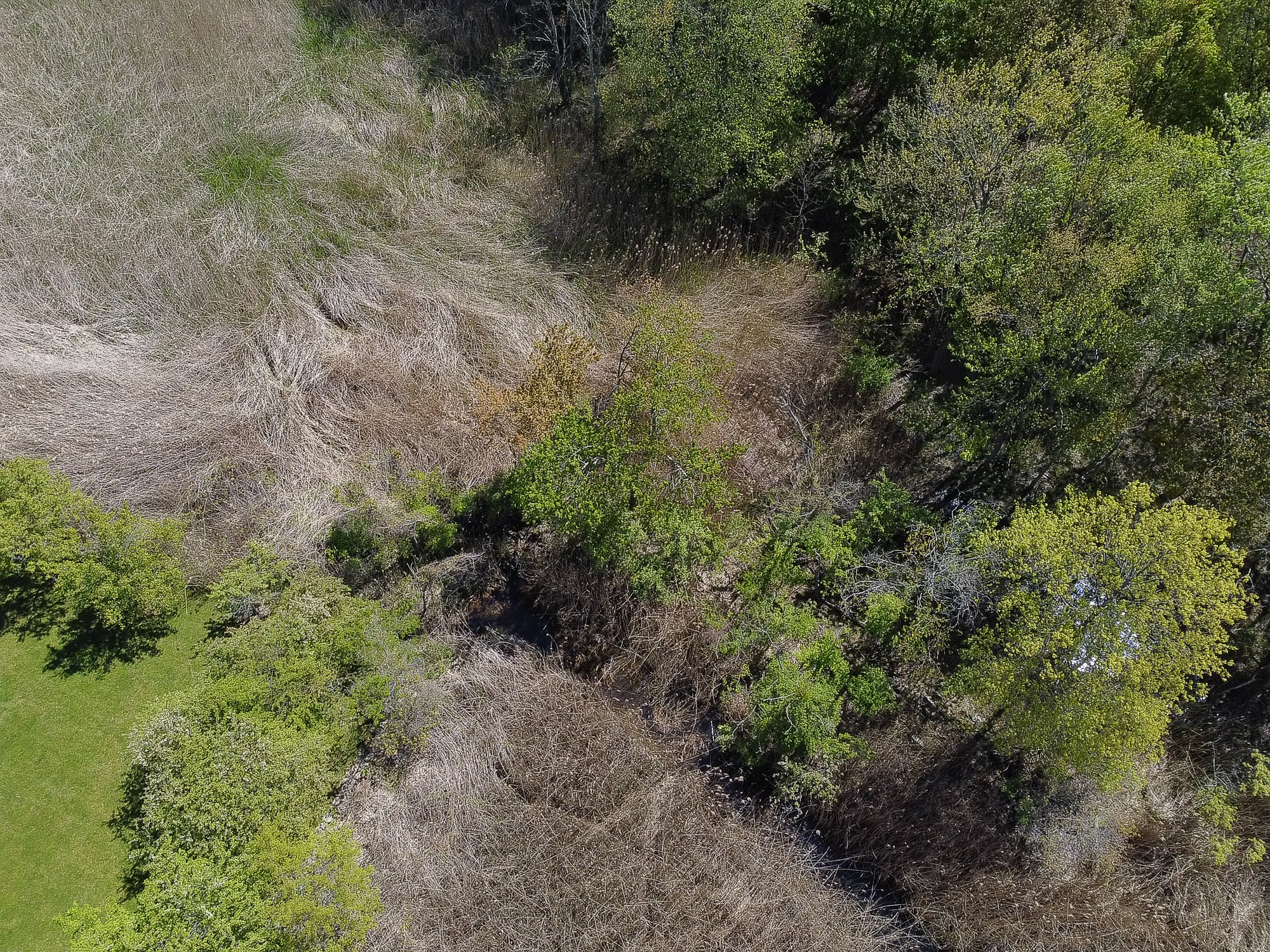 DJI_0024.jpg
