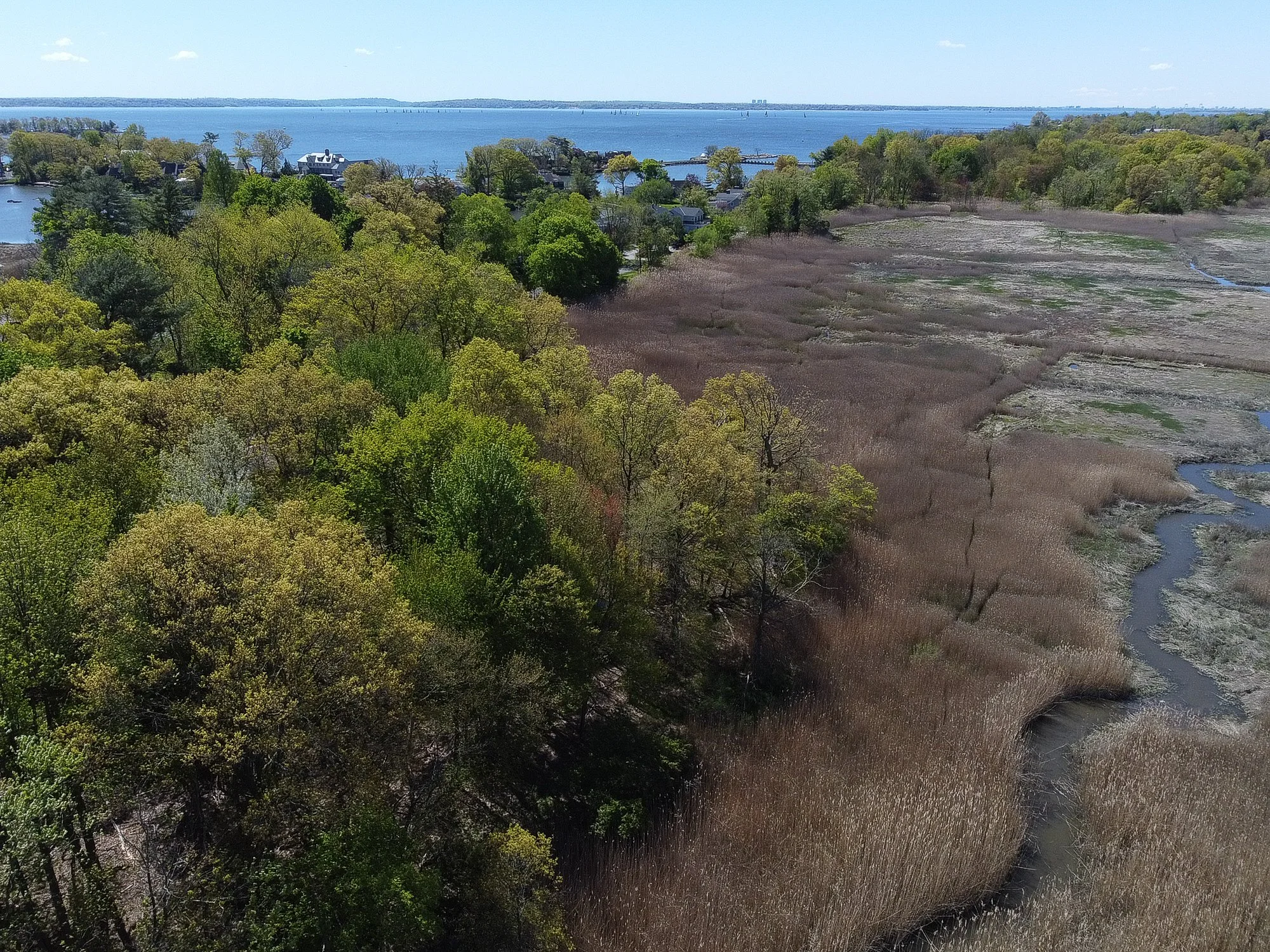 DJI_0019-2.jpg
