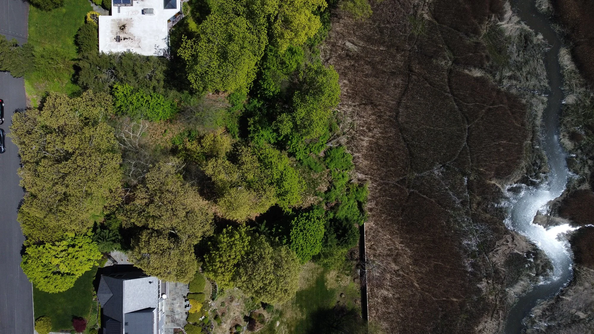 DJI_0894-2-2.jpg