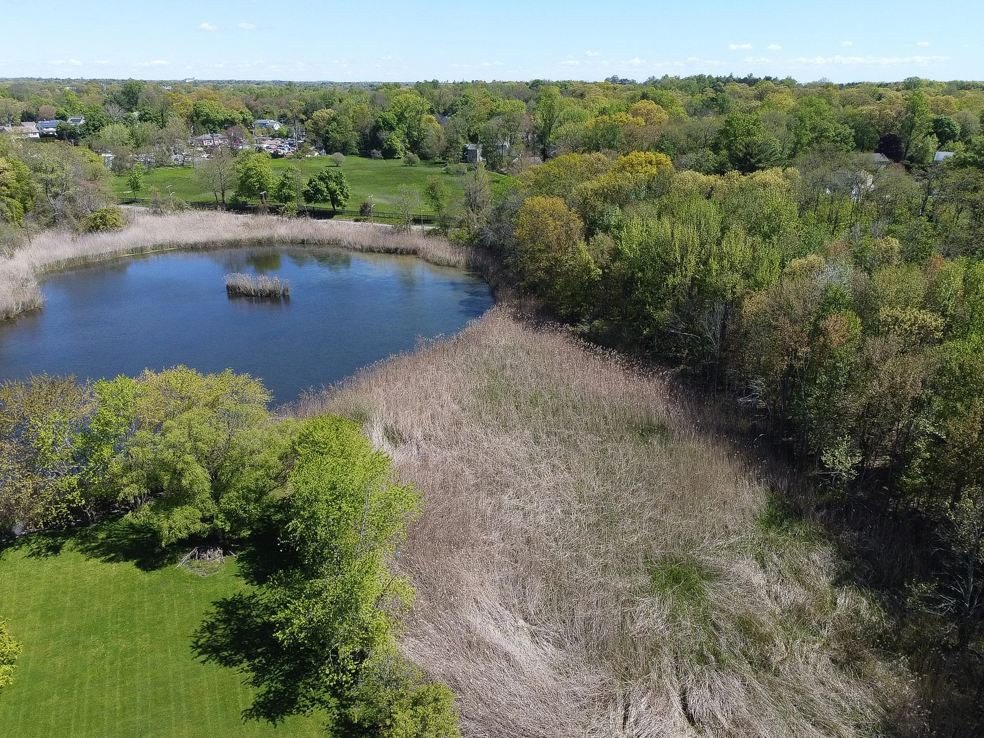 DJI_0003.jpg