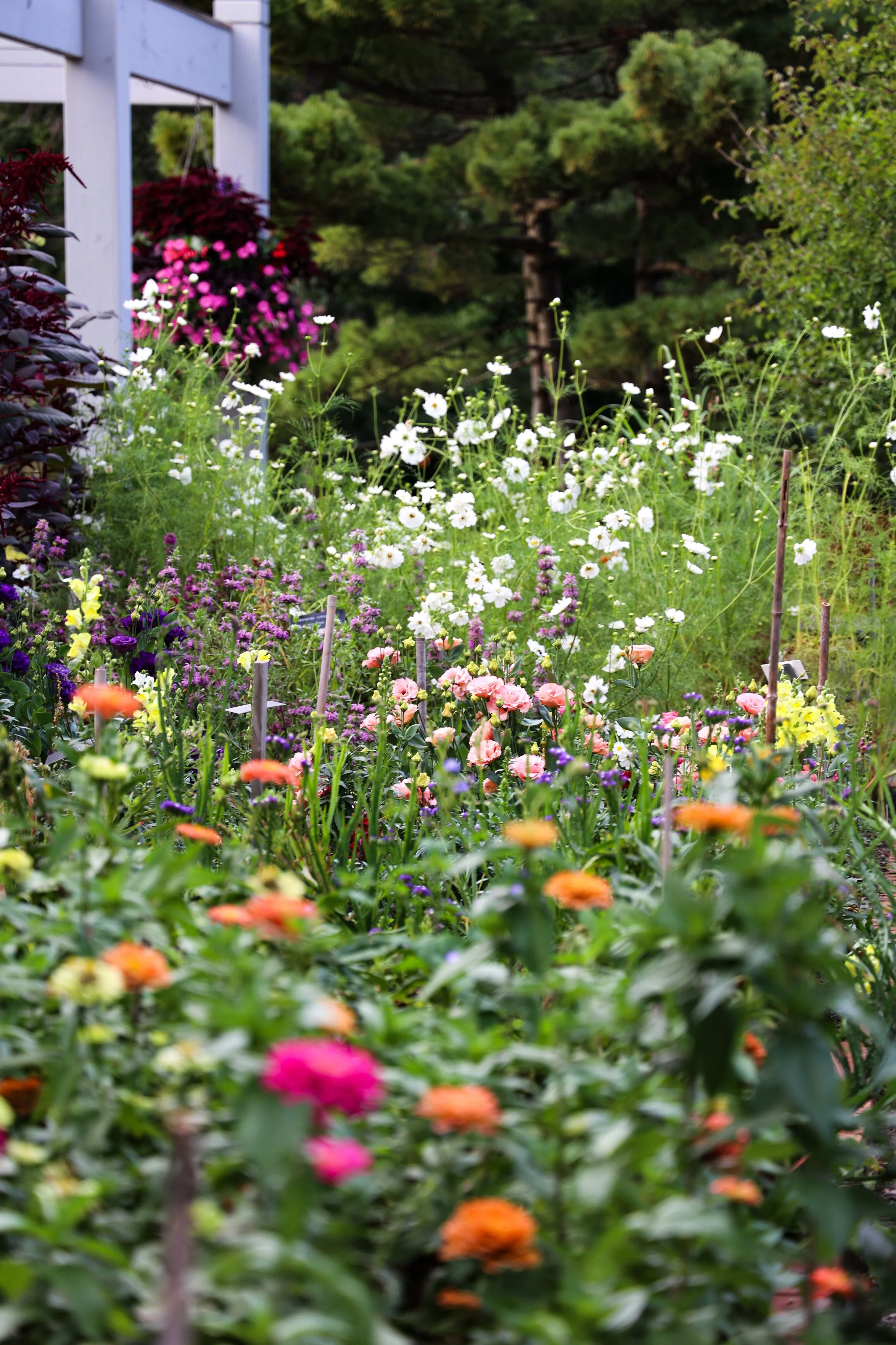 Flower garden