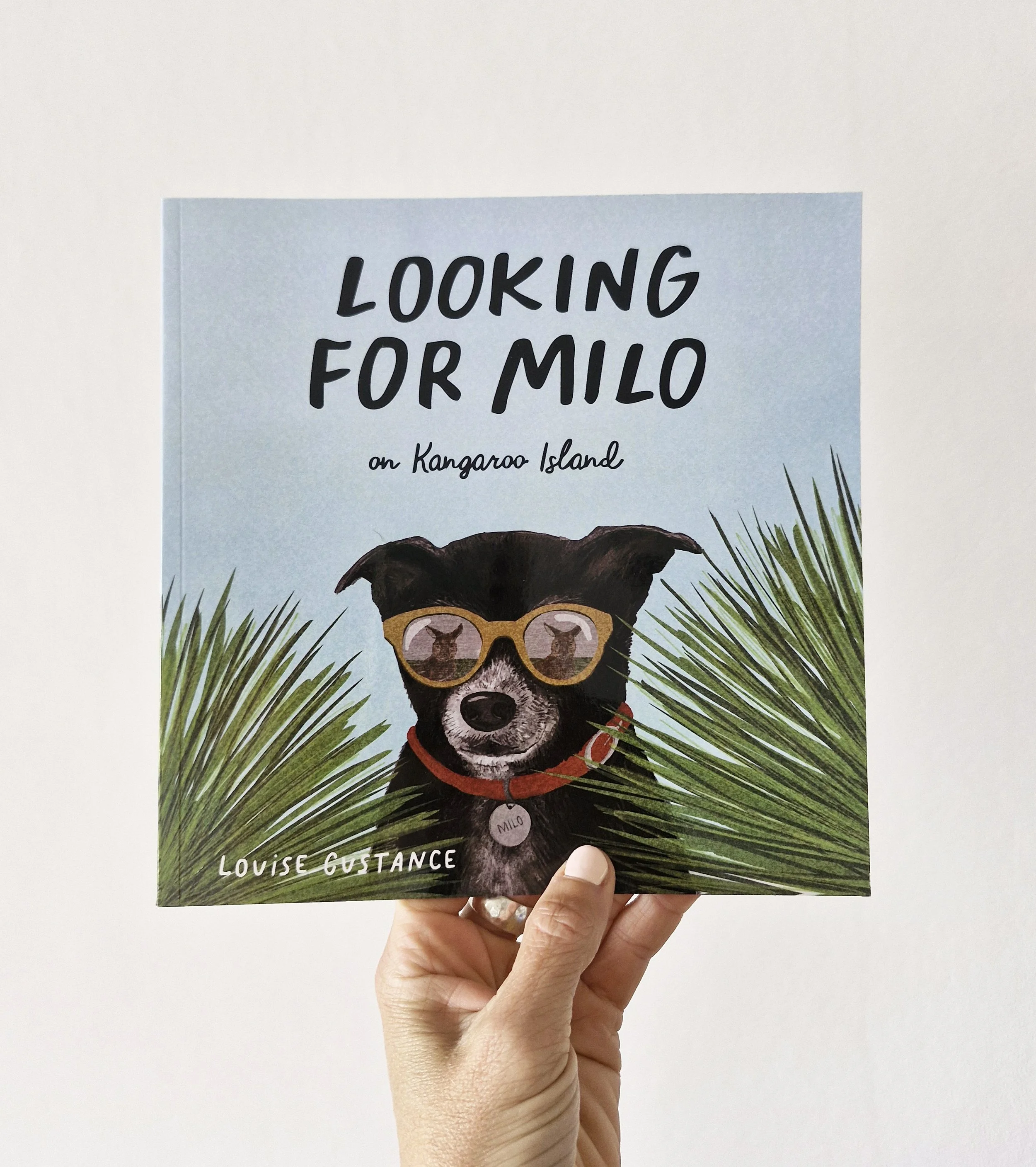 Looking for Milo - Softcover (21x21cm)