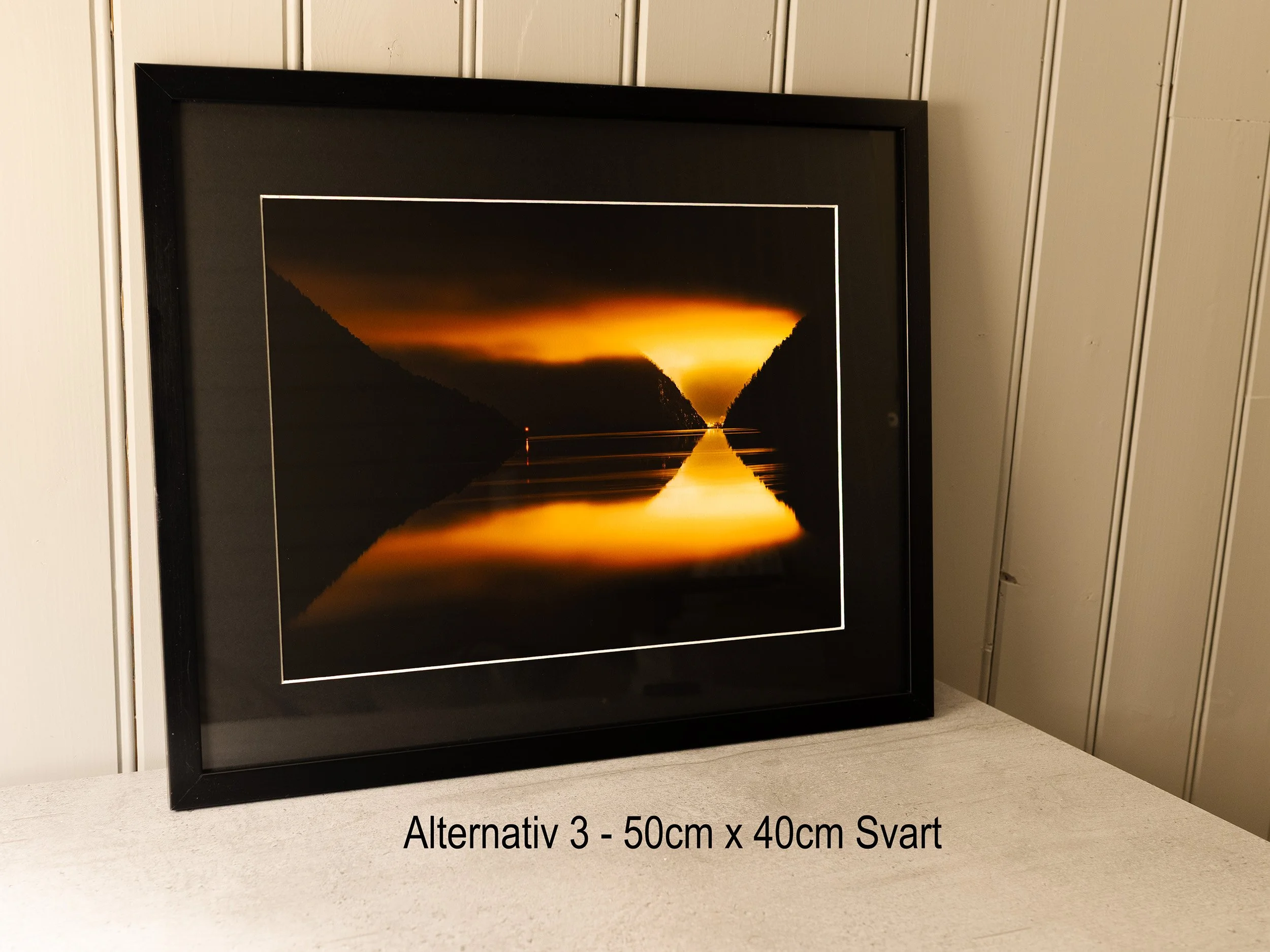 Alternativ 3 Full.jpg