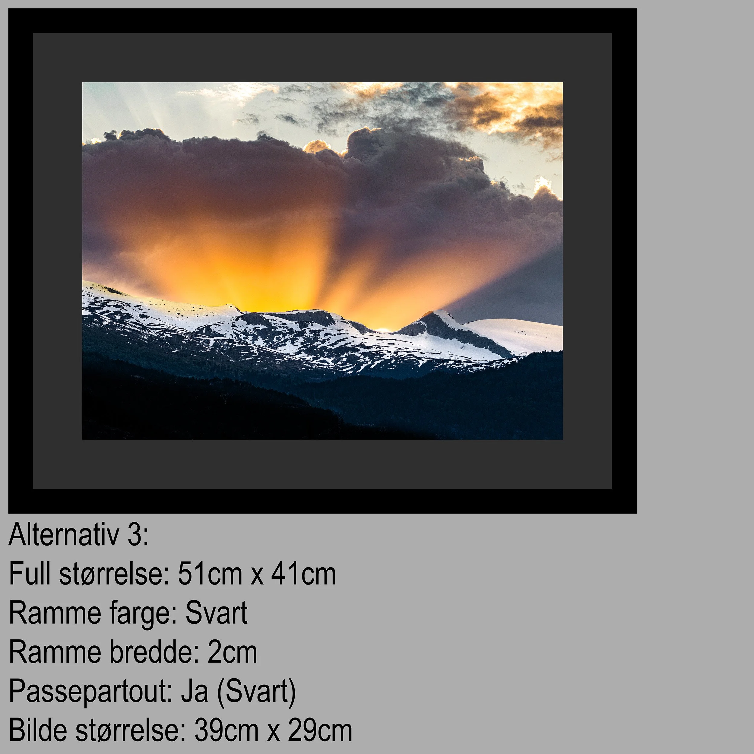 2 Hest Alternativ 3.jpg