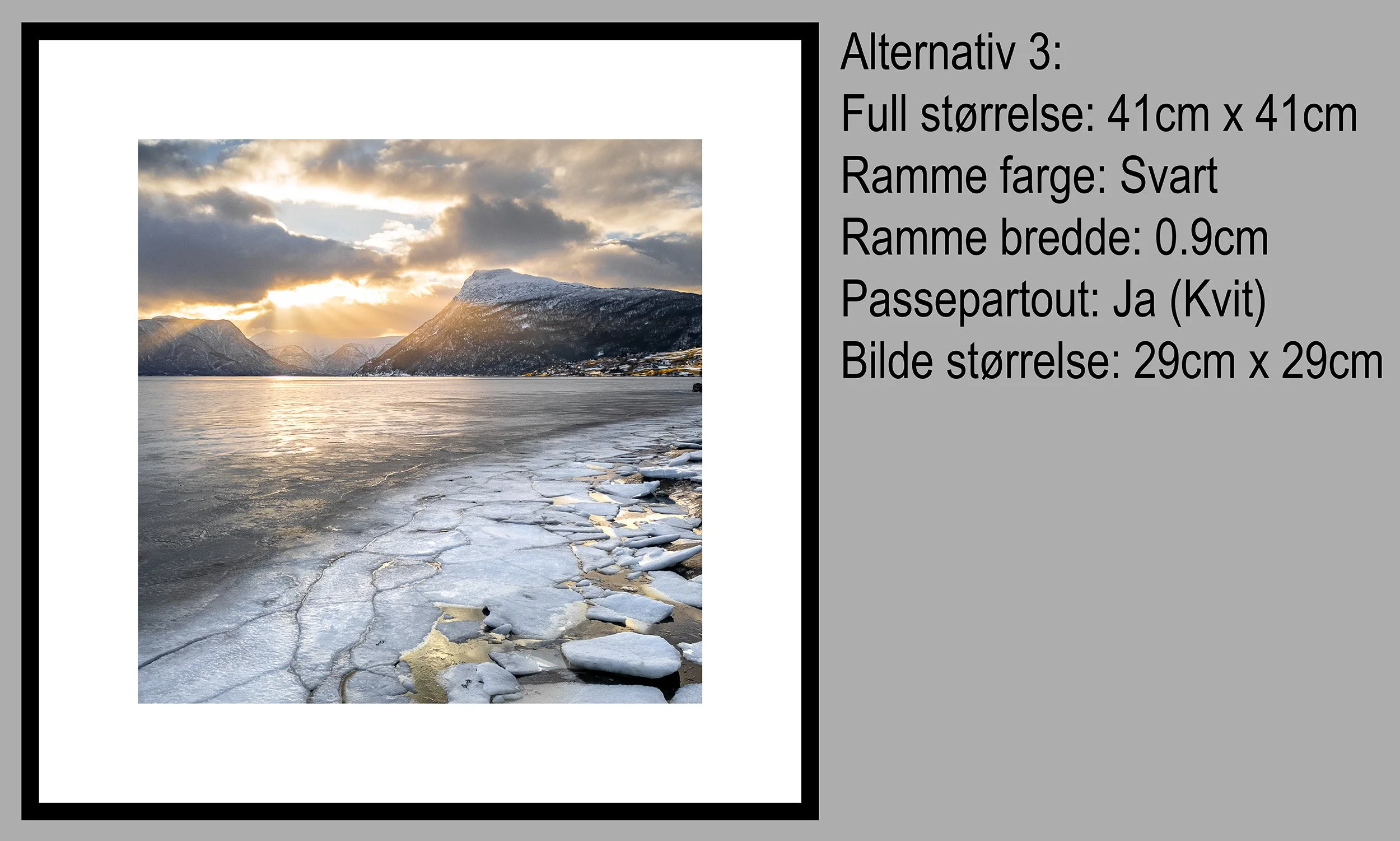 4 Molden Lustrafjorden Alternativ 3.jpg