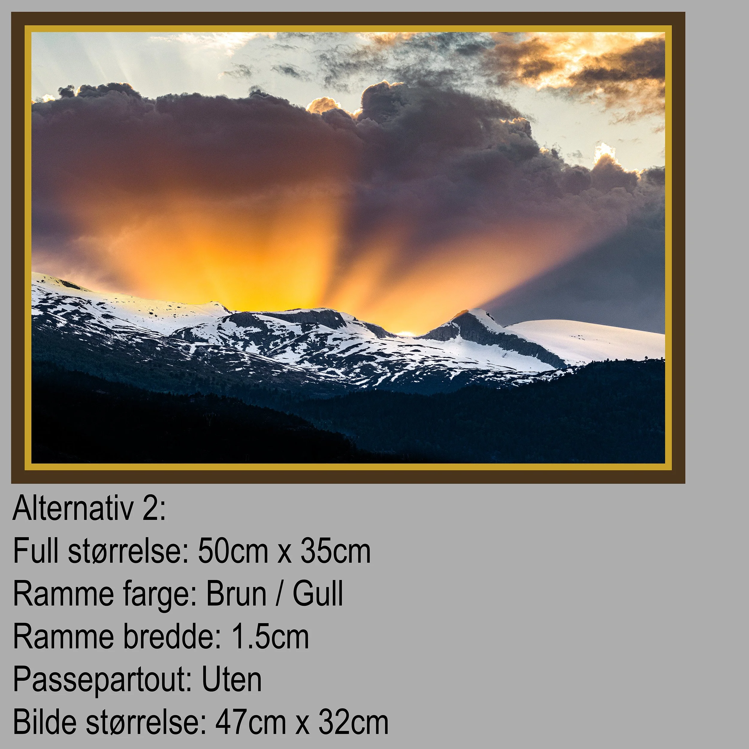 2 Hest Alternativ 2.jpg