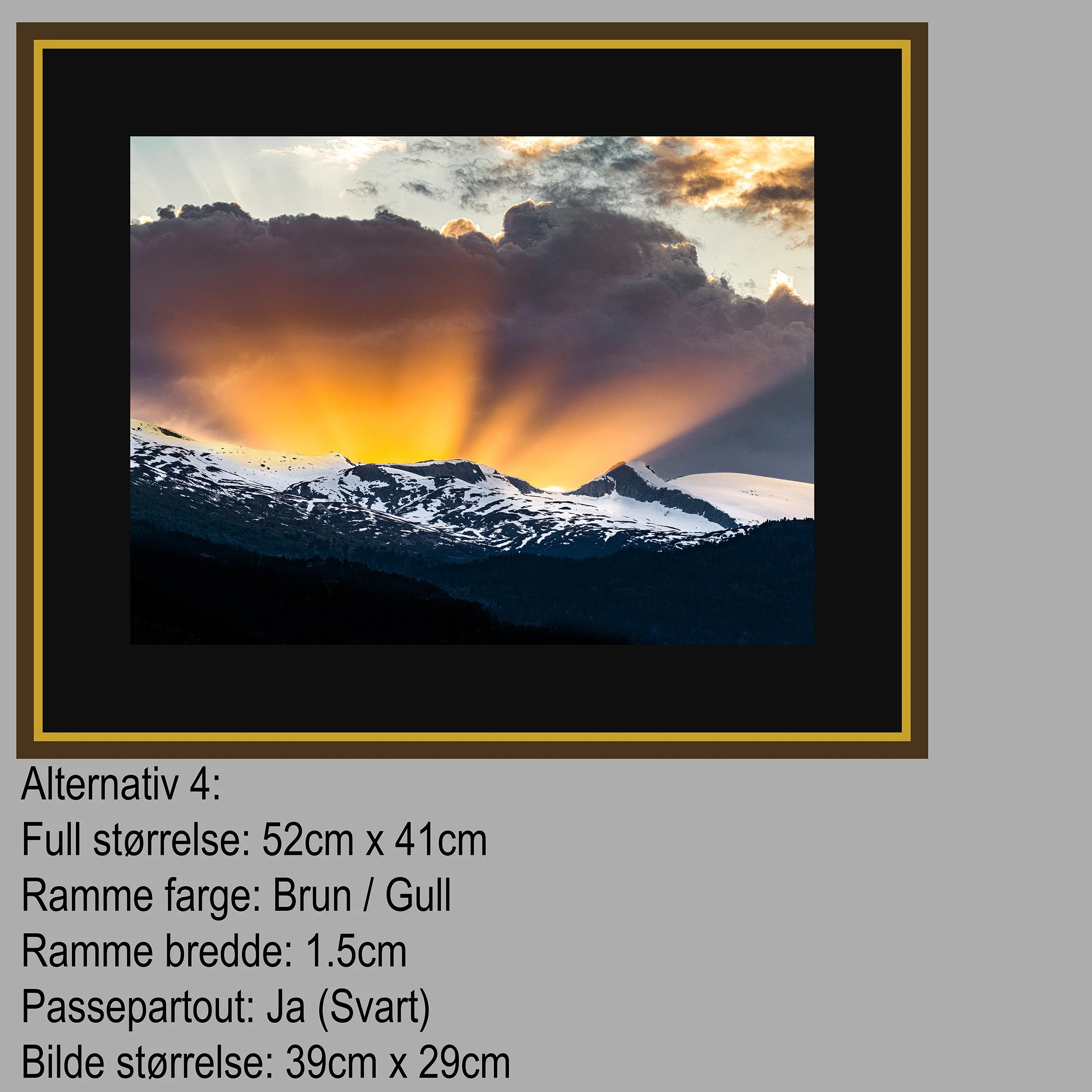 2 Hest Alternativ 4.jpg