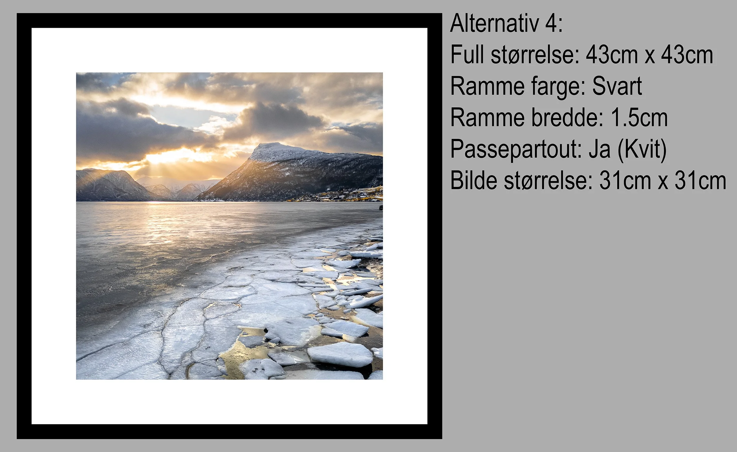 4 Molden Lustrafjorden Alternativ 4.jpg