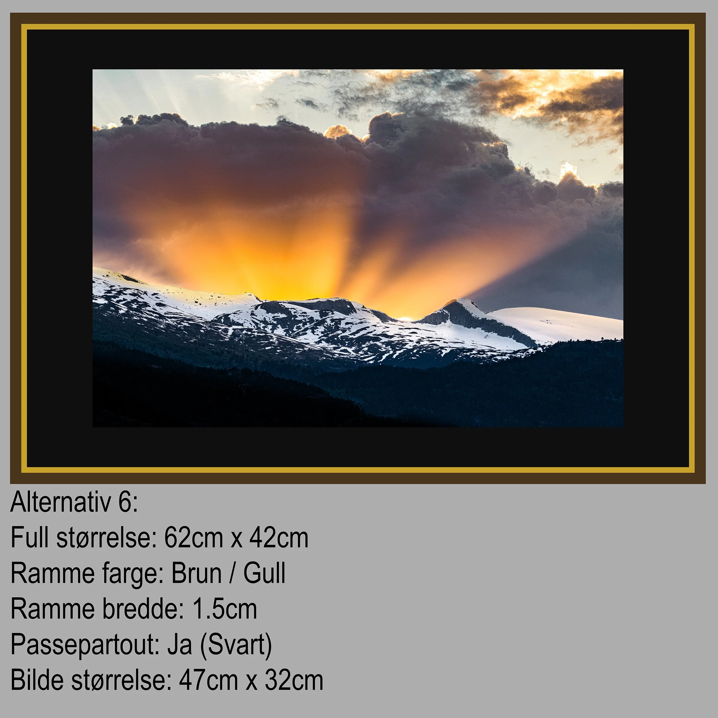 2 Hest Alternativ 6.jpg