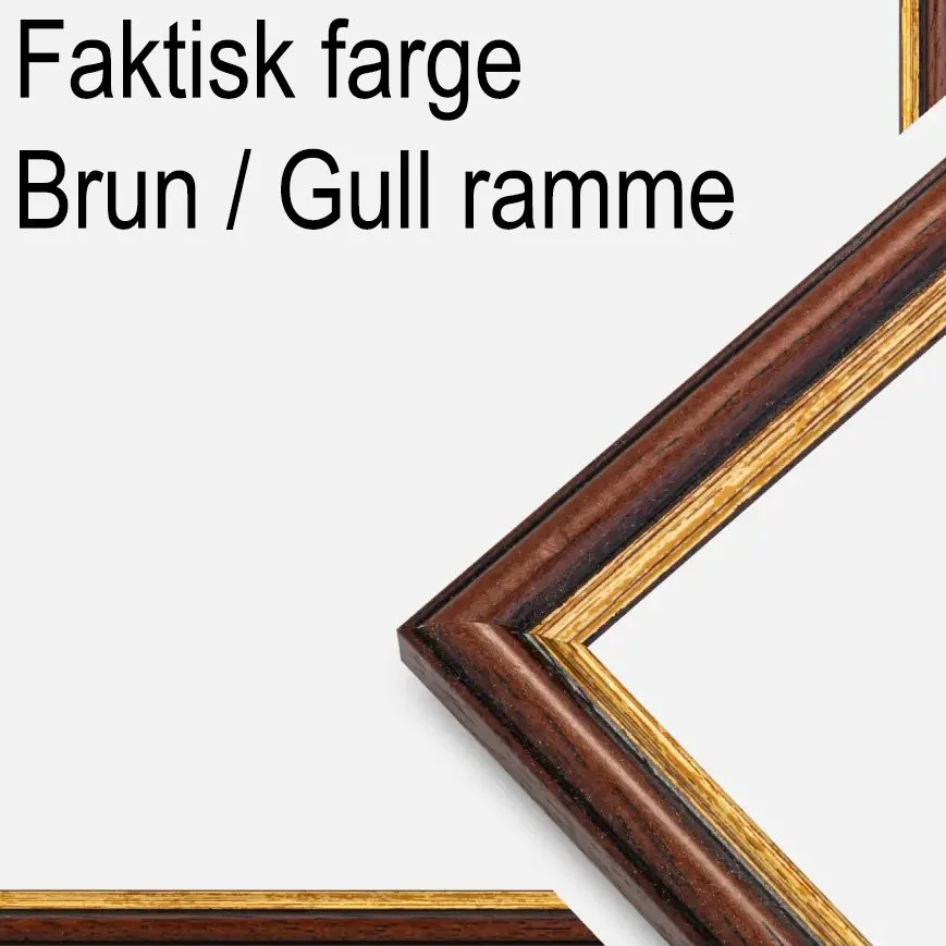 Brun - Gull Ramme.jpg