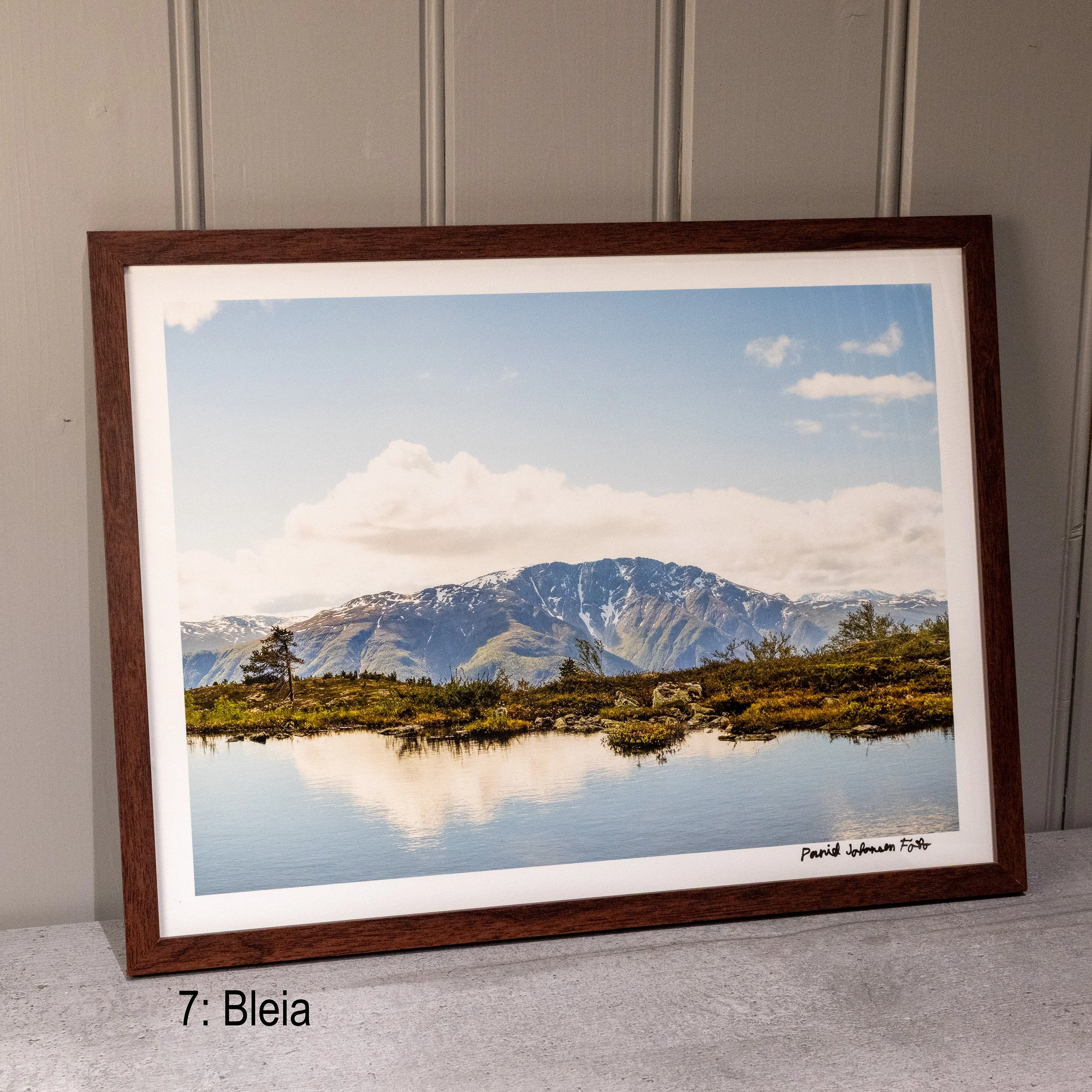 7 Bleia Physical.jpg