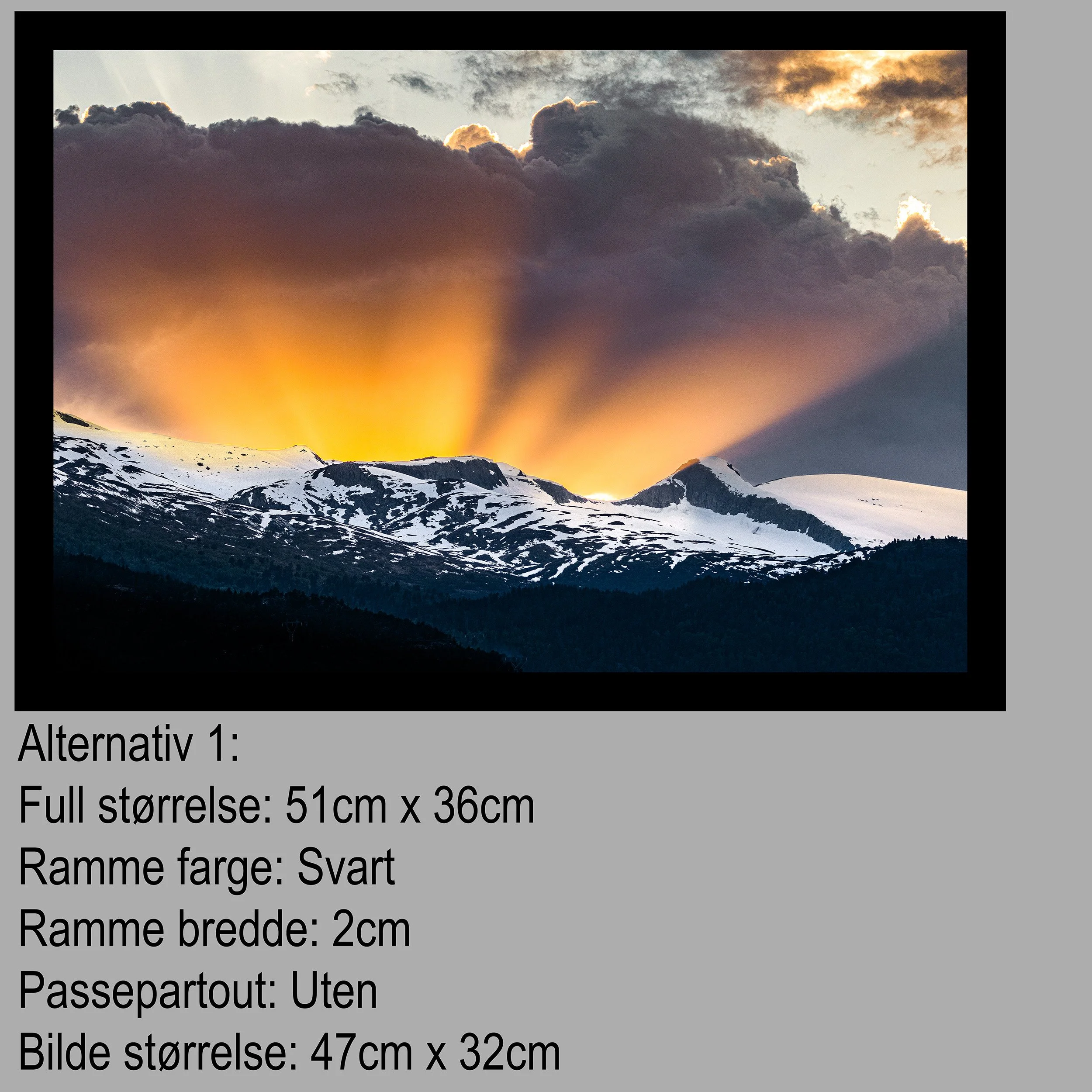 2 Hest Alternativ 1.jpg