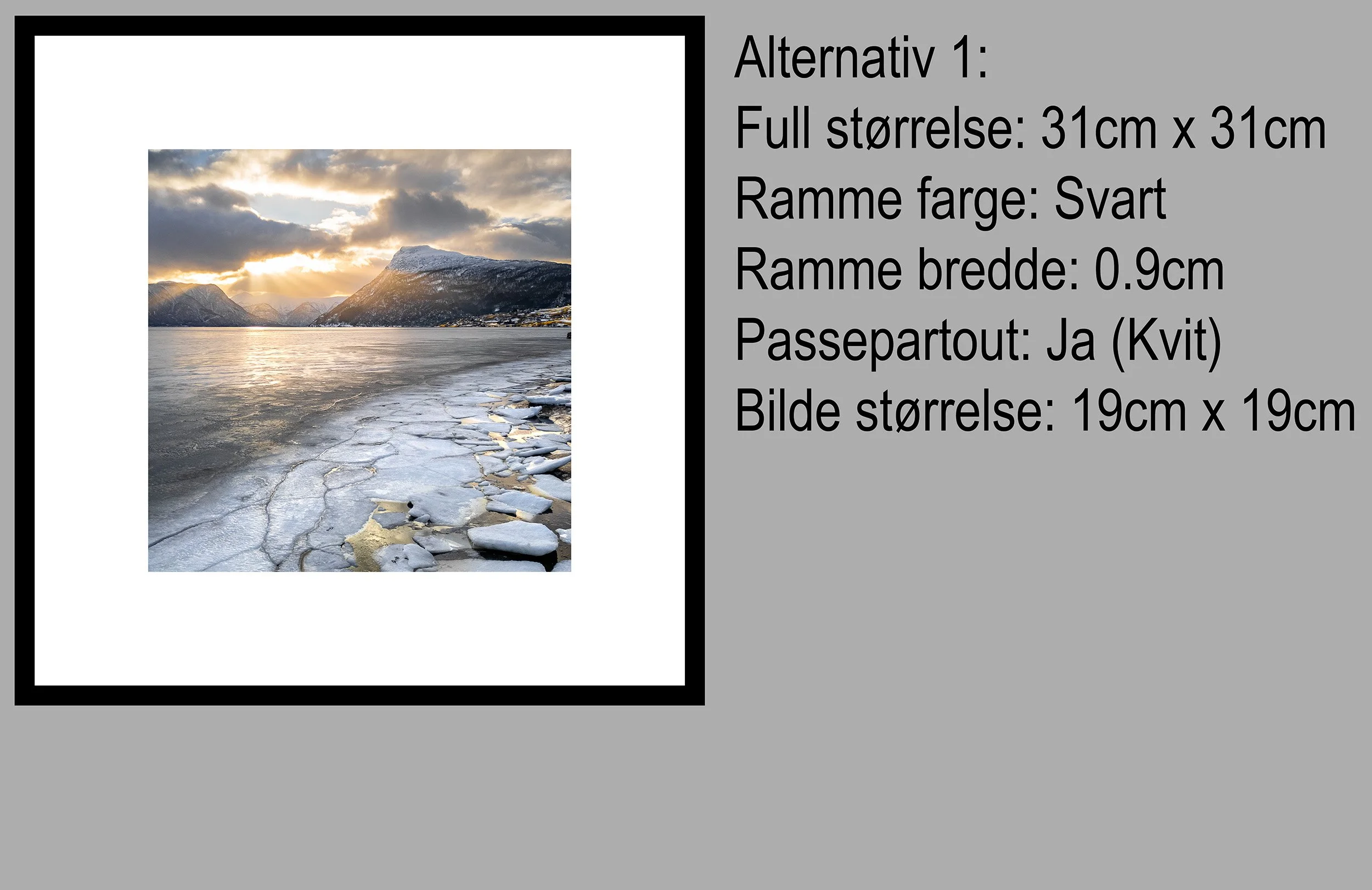 4 Molden Lustrafjorden Alternativ 1.jpg