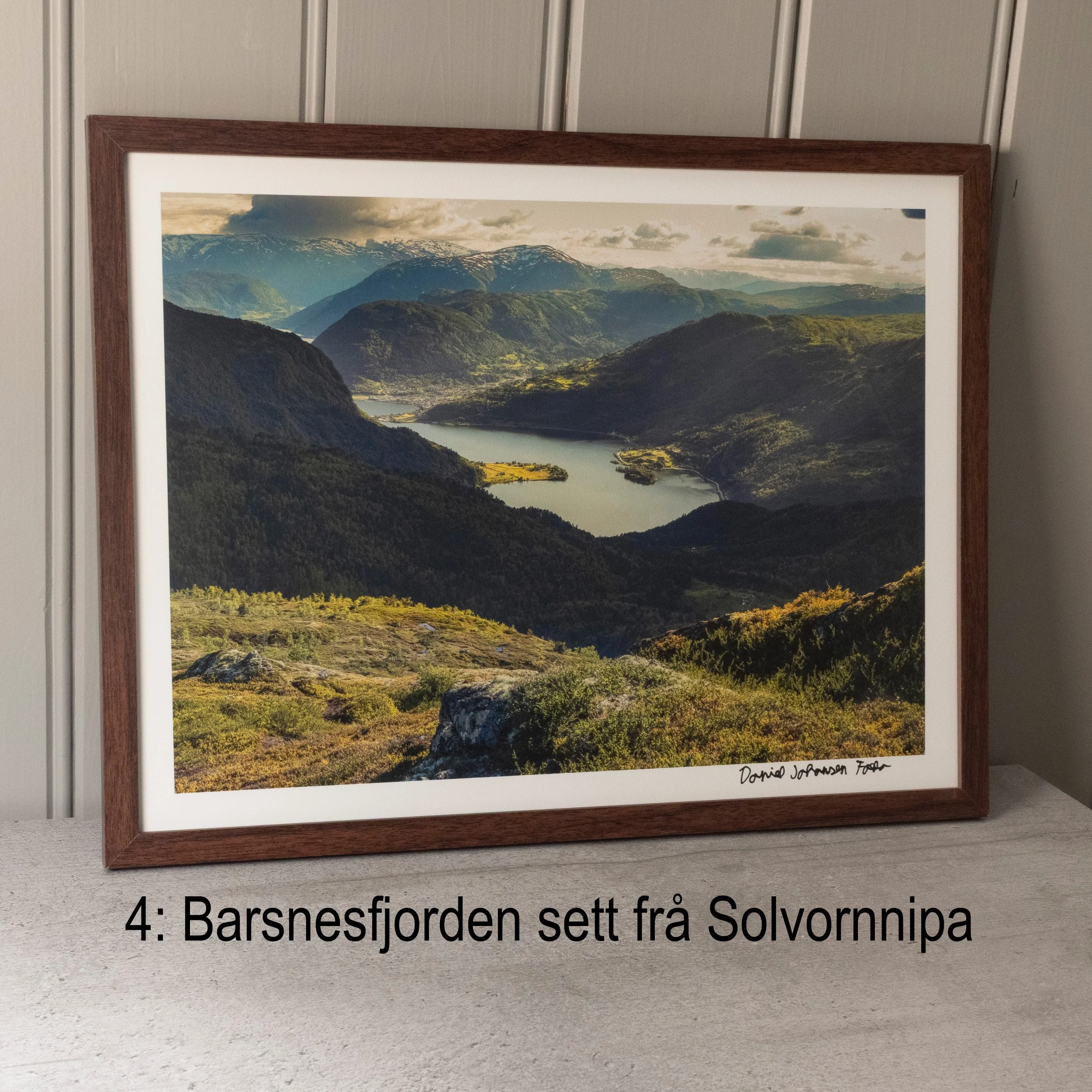 4 Barsnesfjorden physical.jpg