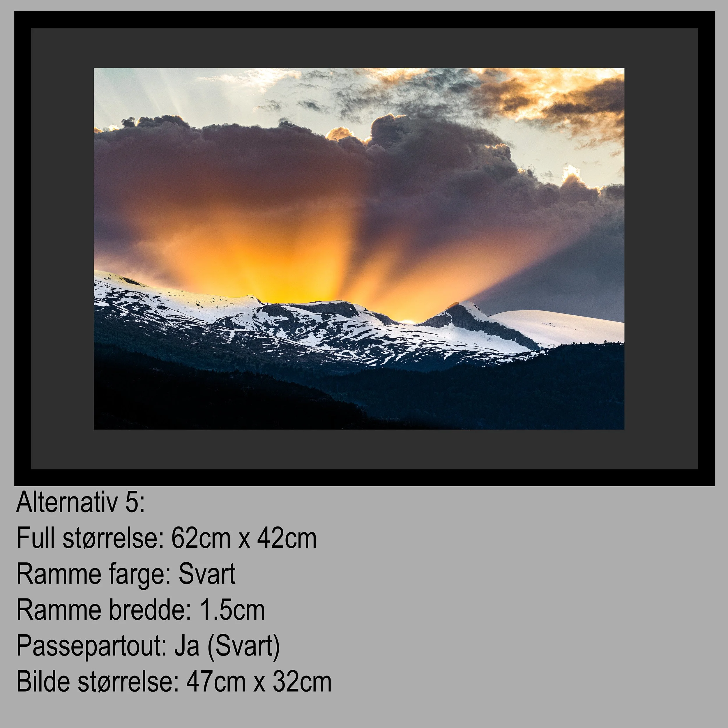 2 Hest Alternativ 5.jpg