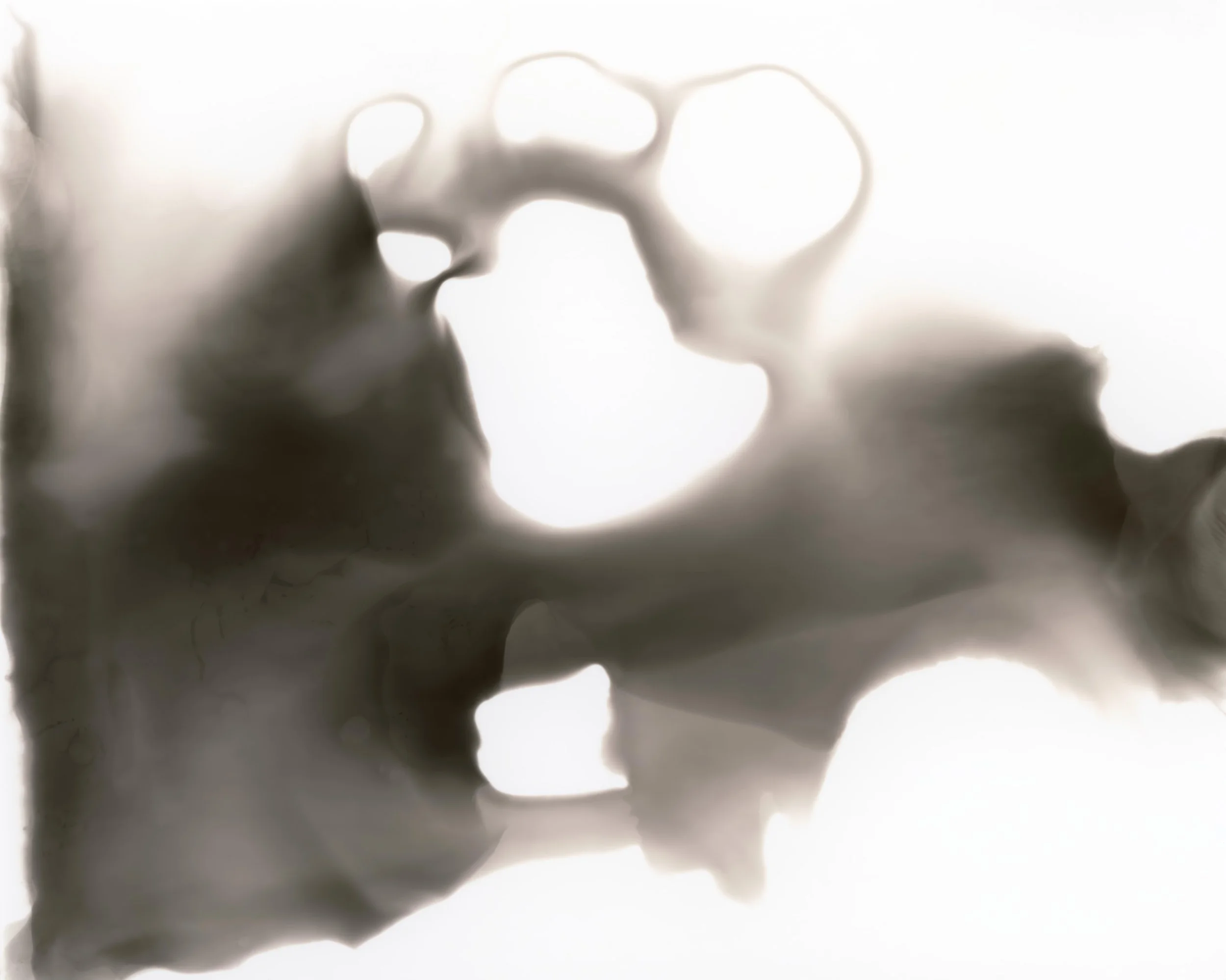 Chemigram_001 (SO).jpg