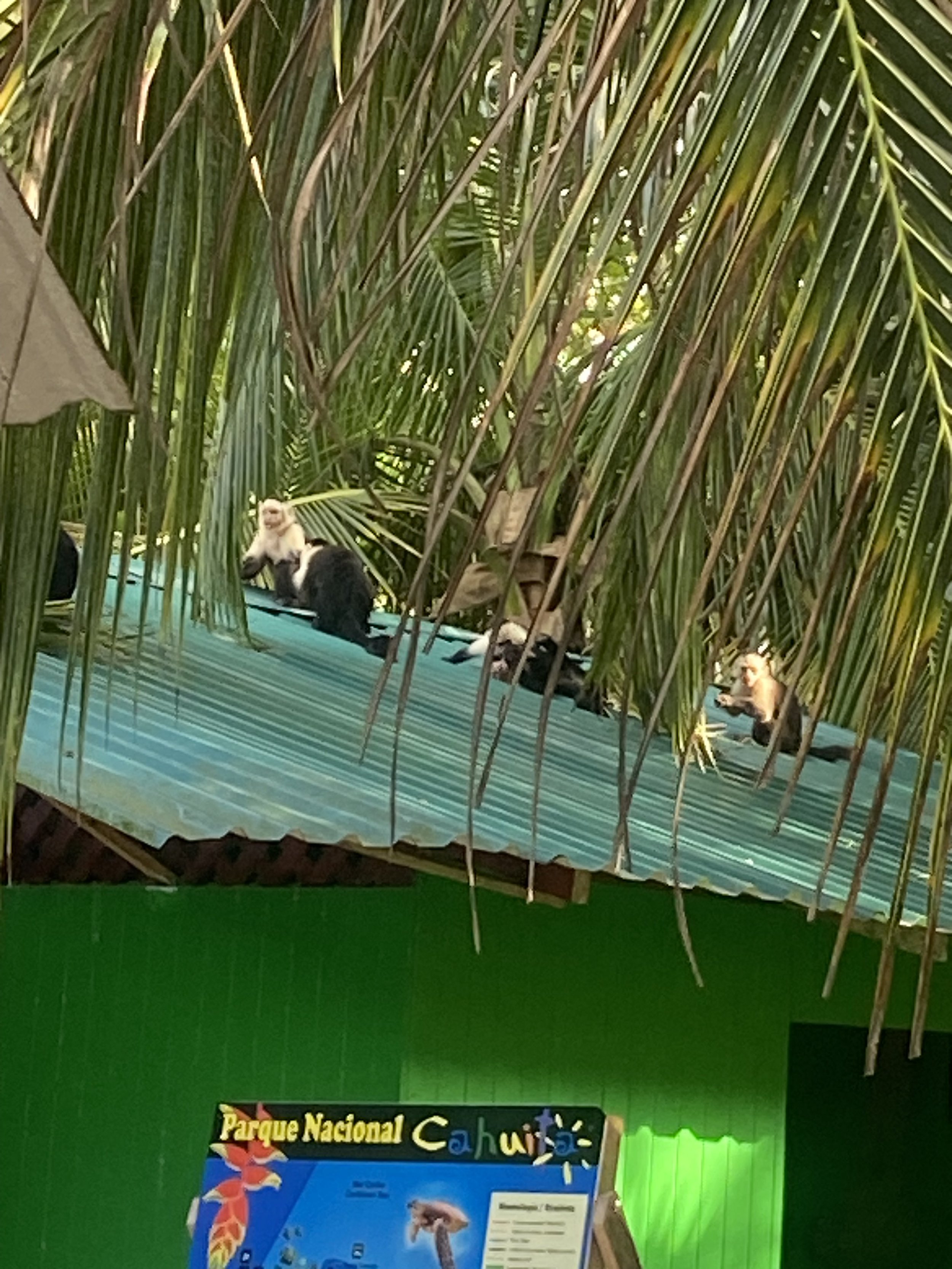 why staying in boutique hotels will always work out for you