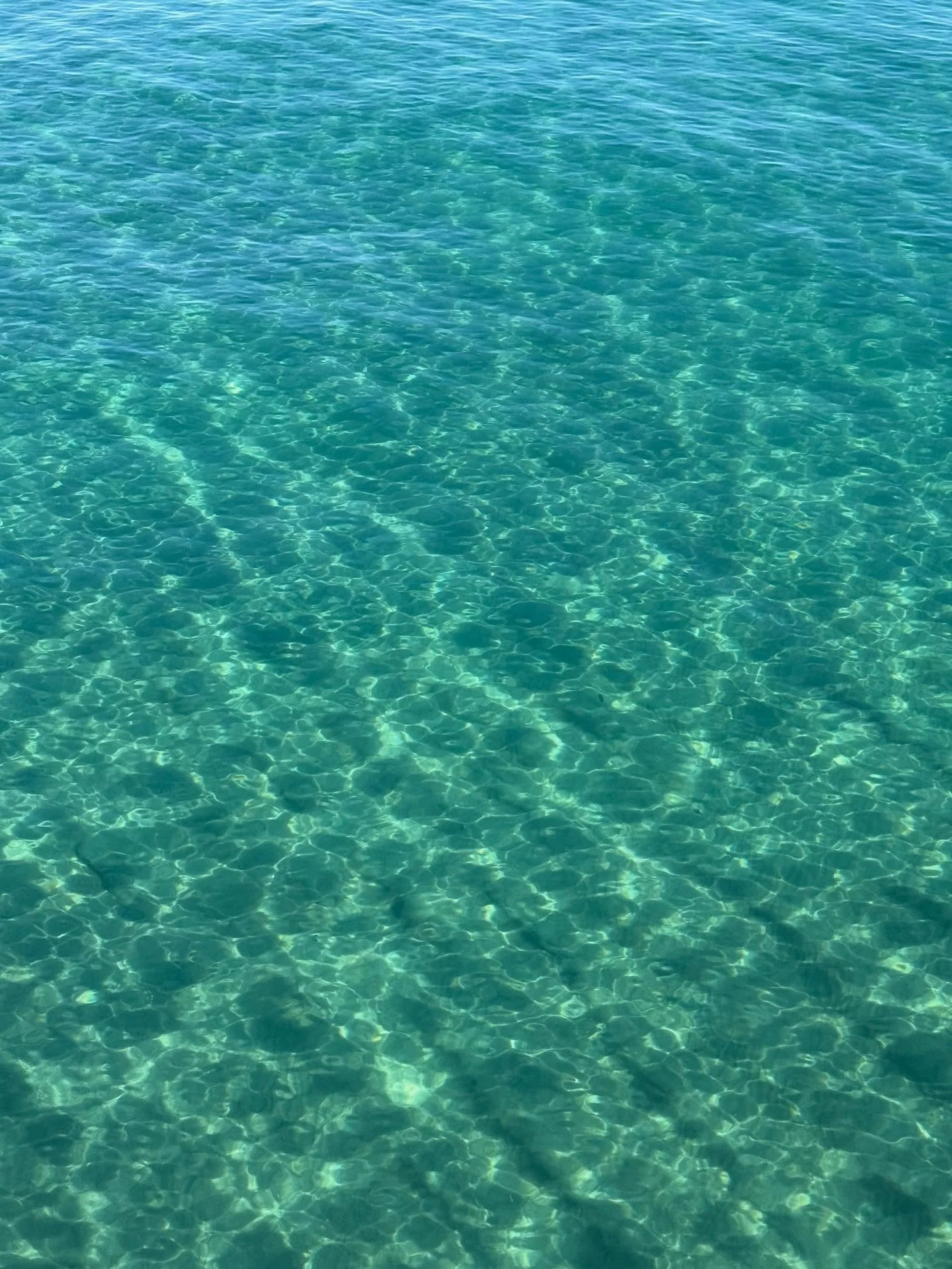 It&rsquo;s never too early for summer travel planning. Inquire for perks and more at our website.