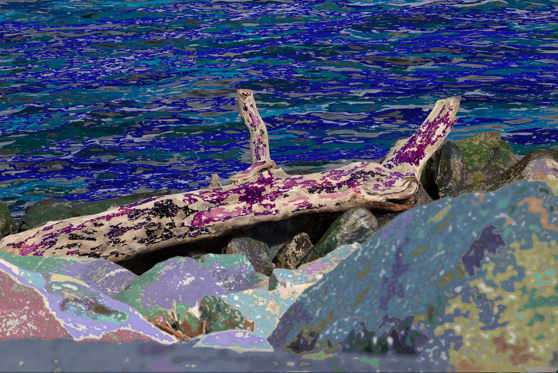 Screenshot 2024-11-04 at 12.12.35 PM.png