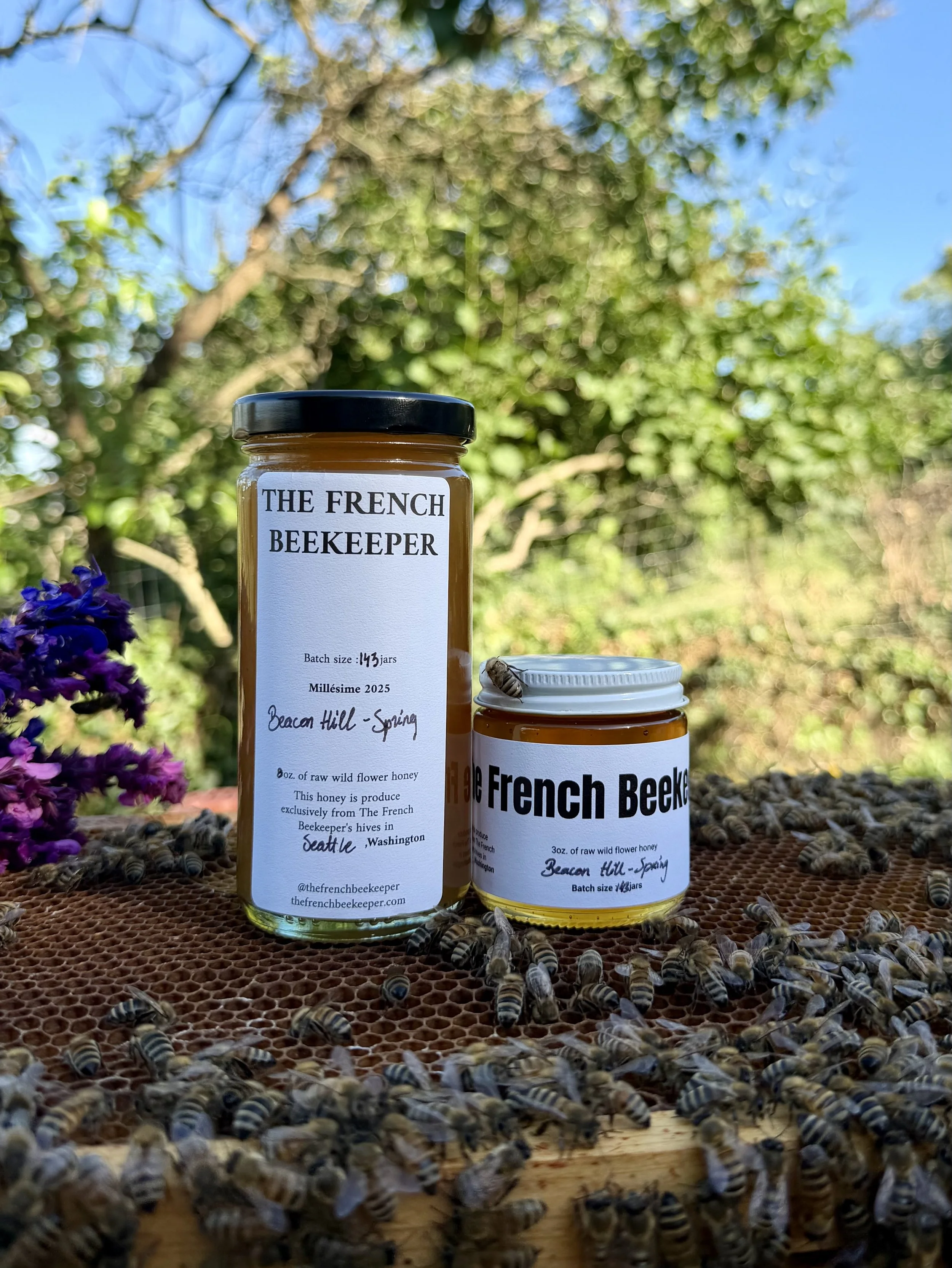 2025 Raw Honey - "Beacon Hill - Spring"