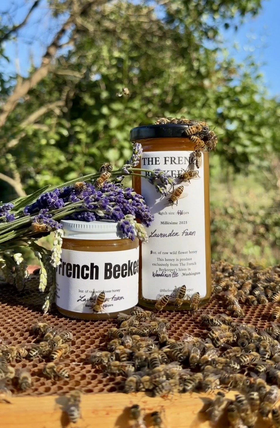 2025 Raw Honey - "Lavender Farm"