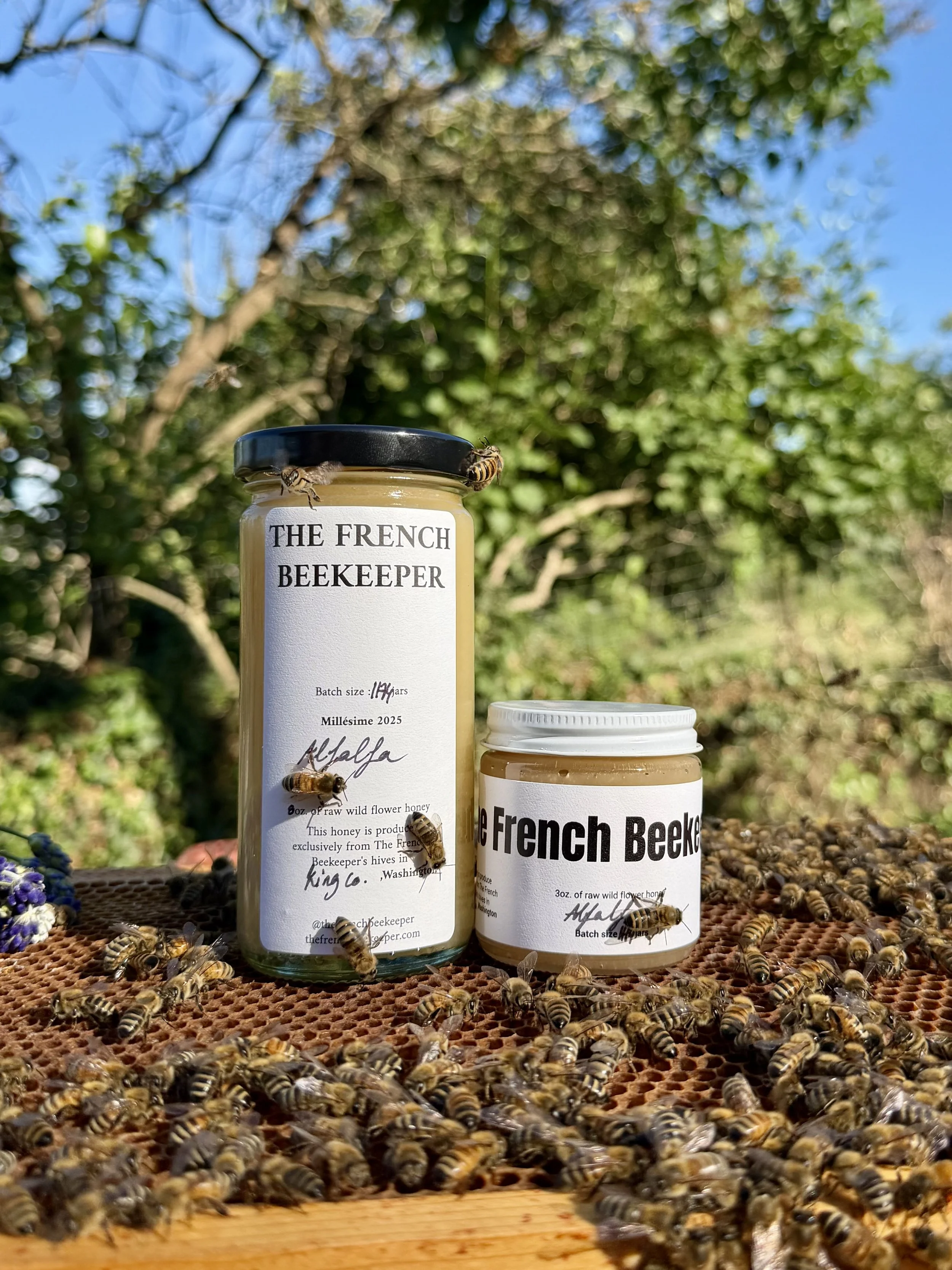2025 Raw Honey - "Alfalfa"