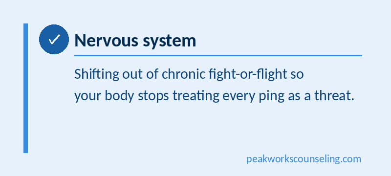 Nervous System, shifting out of chronic fight or flight mode so your body stops treating every ping as a threat.