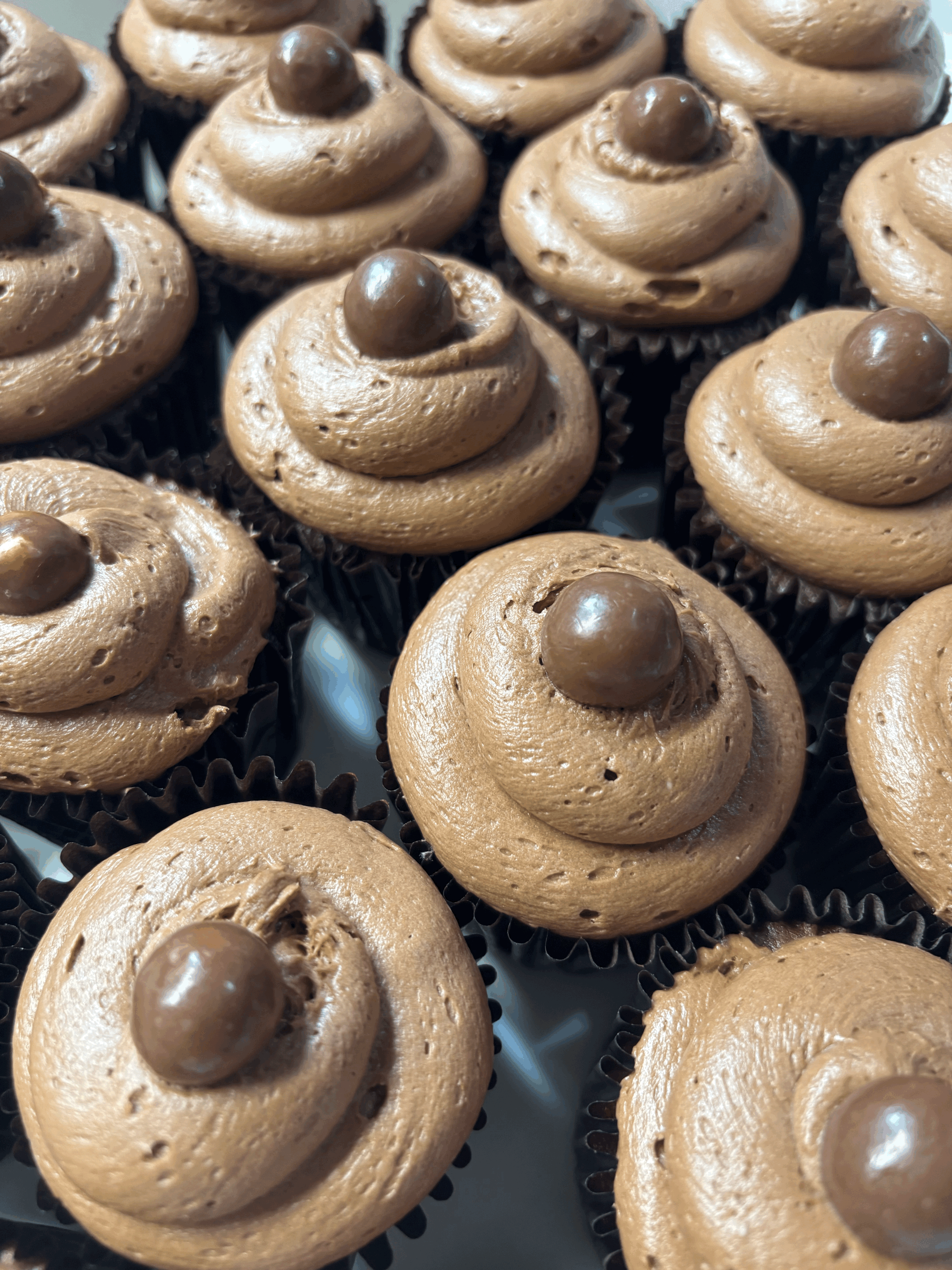 Malted Milk Chocolate Cupcakes and a Lesson on Anxiety