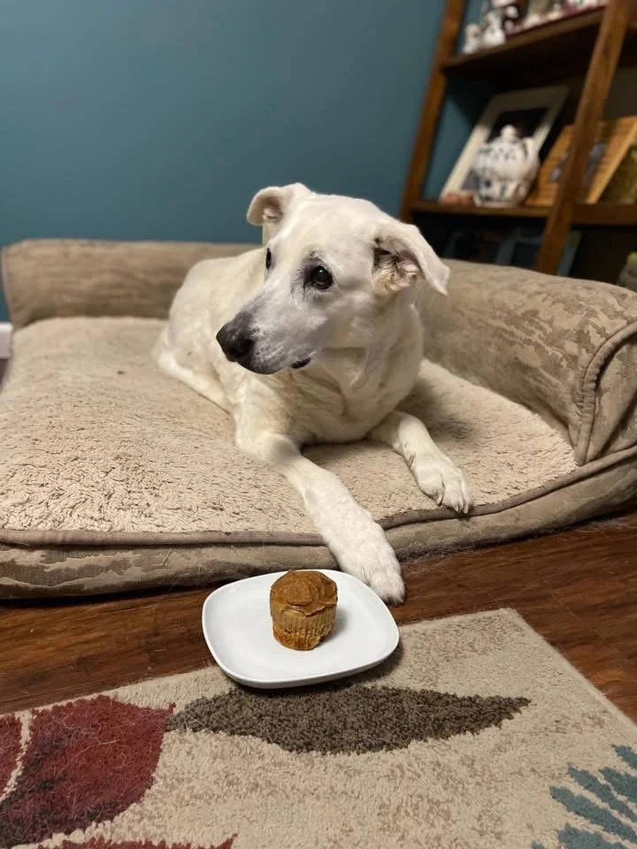 Mississippi Mud Cupcakes with Marshmallow Frosting Carry a Sweet Message