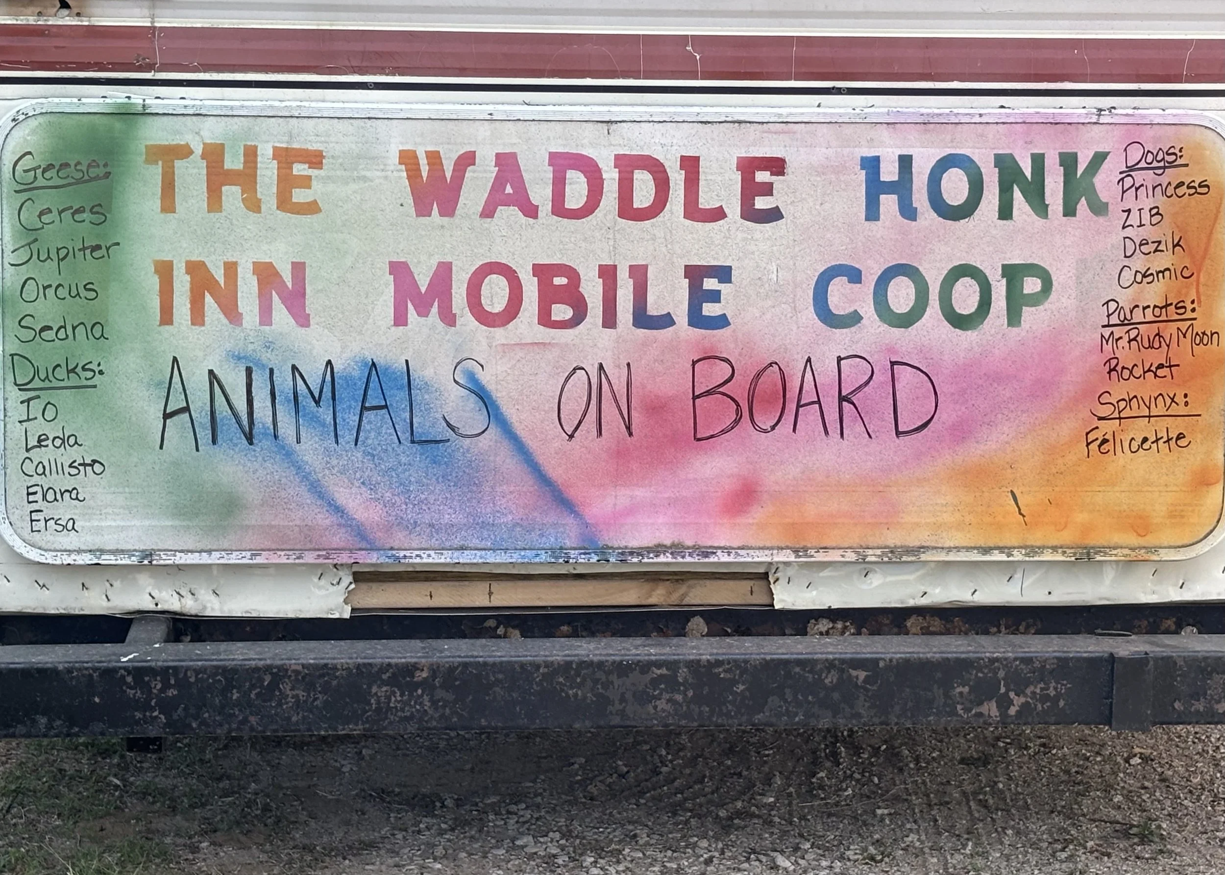 Honk for My Canadian Adventure (Part 1)