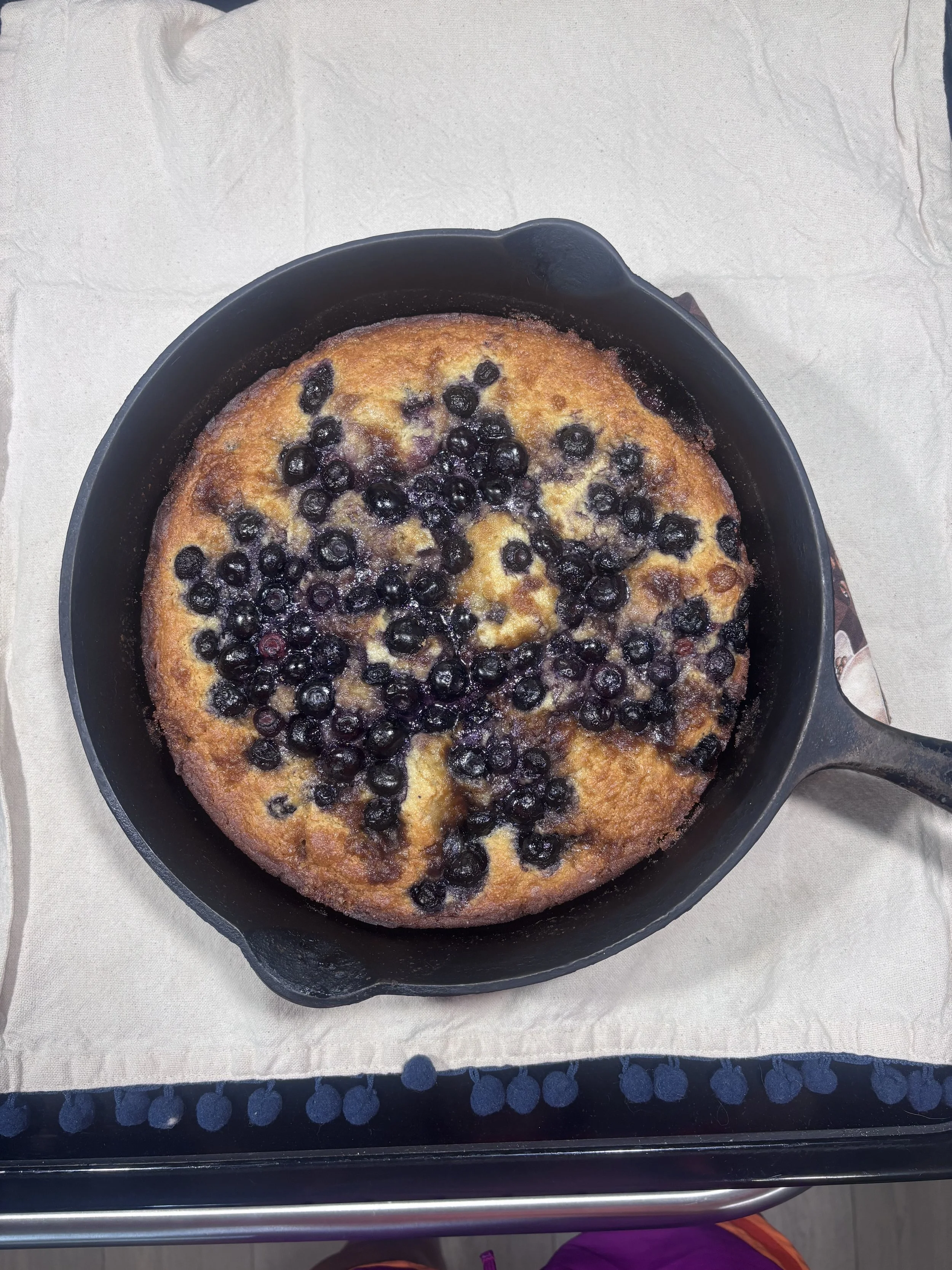 Blueberry Corncake and Parenthood—A Harvest Worth Sharing