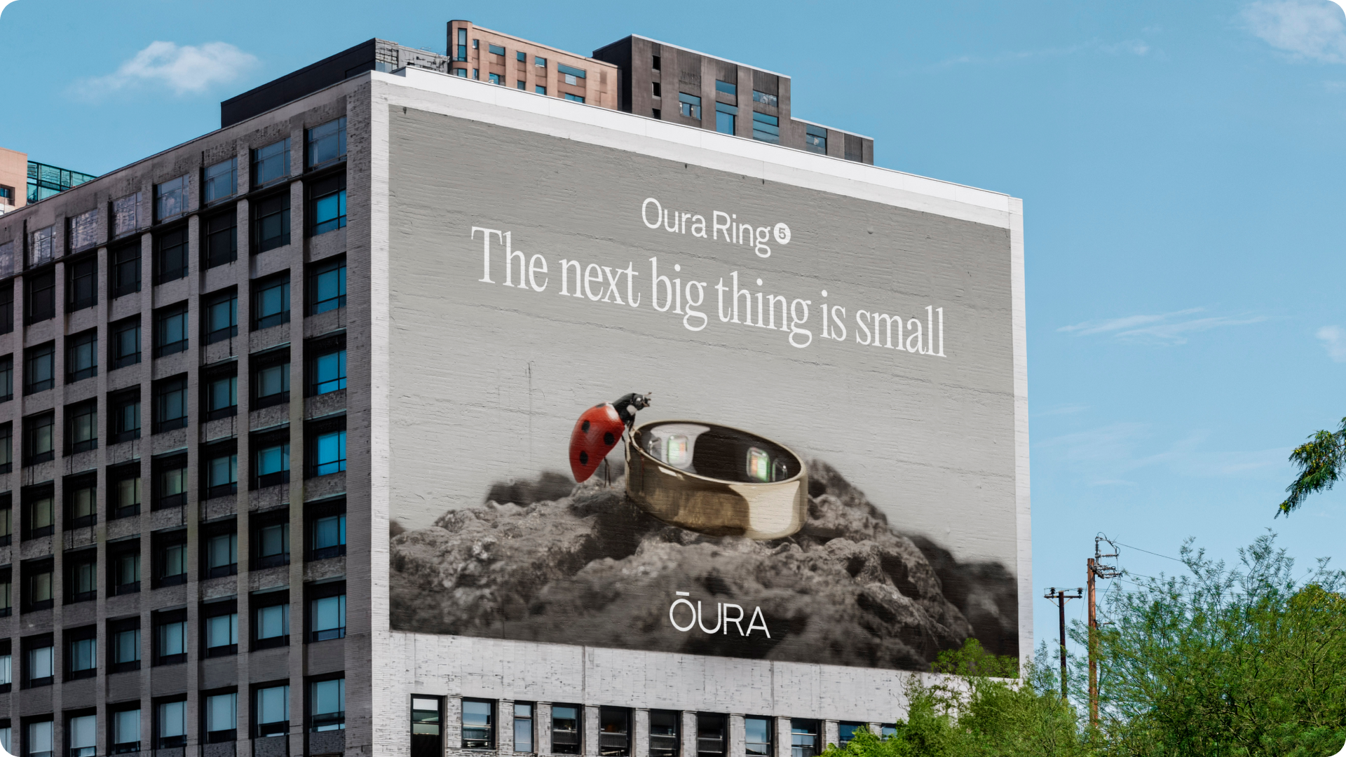 ŌURA | Oura Ring 5