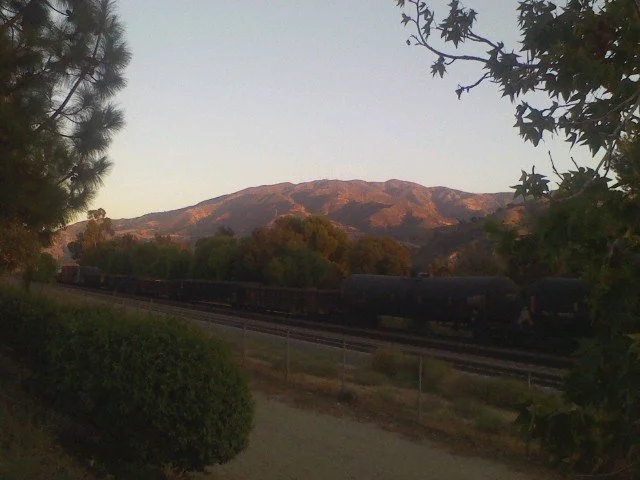 Growth Unexpected: When Brown Hills Turn Green