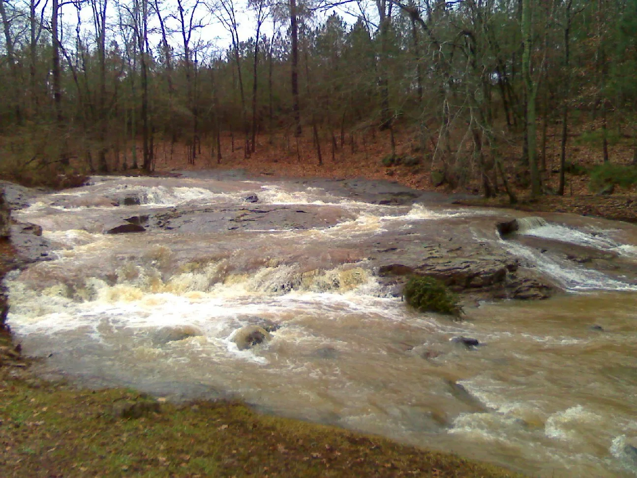 Like a Christmas Tree Thrown Amid the Rapids