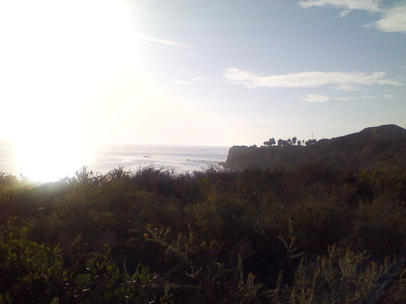 Starting Over Again: The Tale of Westward Ho 2