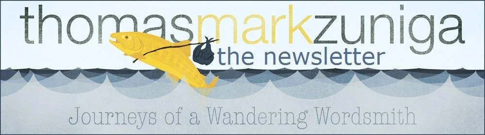 On Starting a Newsletter, Writing a Book, and Mourning the X-Games