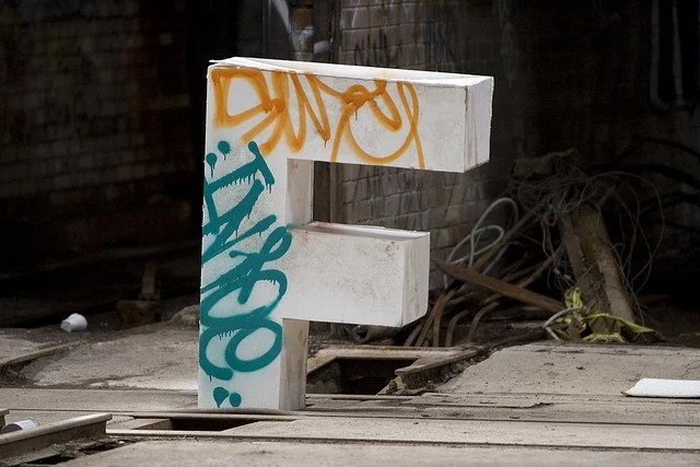 Why I Used the F-Word in My First Book