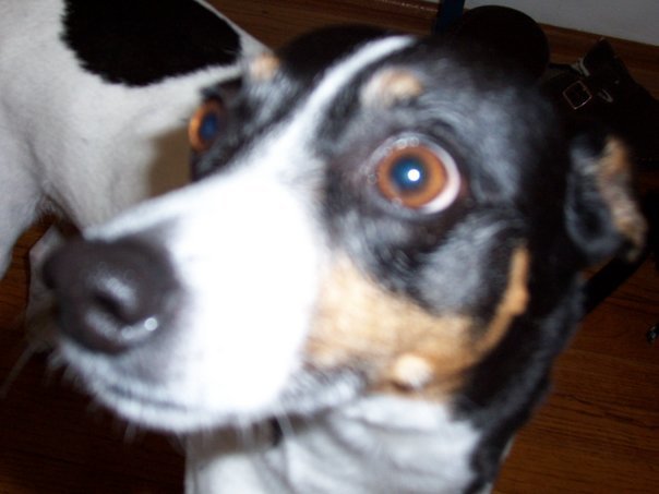 I Still Miss You, Annie