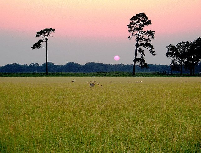 My OneWord365 for 2014: Hunger