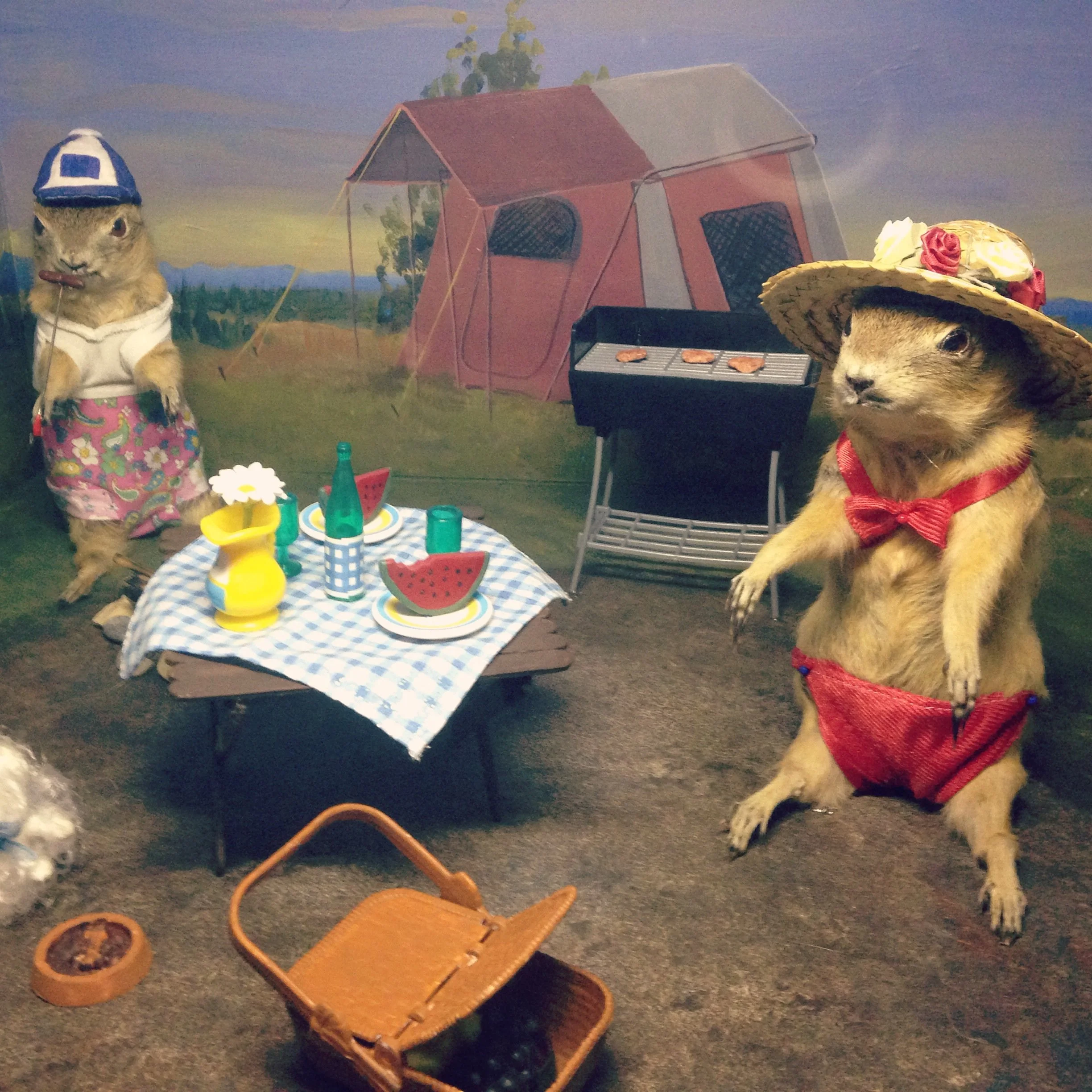 #RunningTo Week 5 in Review: Gopher Hole Museum, Canadian Rockies, Vancouver