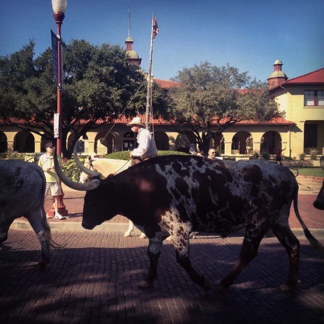 #RunningTo Week 19 in Review: All Over Texas