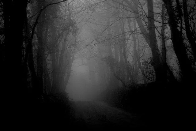 I'm Fucking Afraid of the Dark