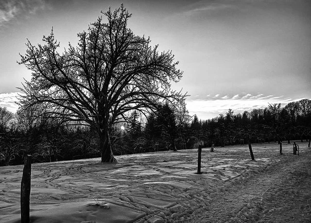 Nothing Can Get Me Here