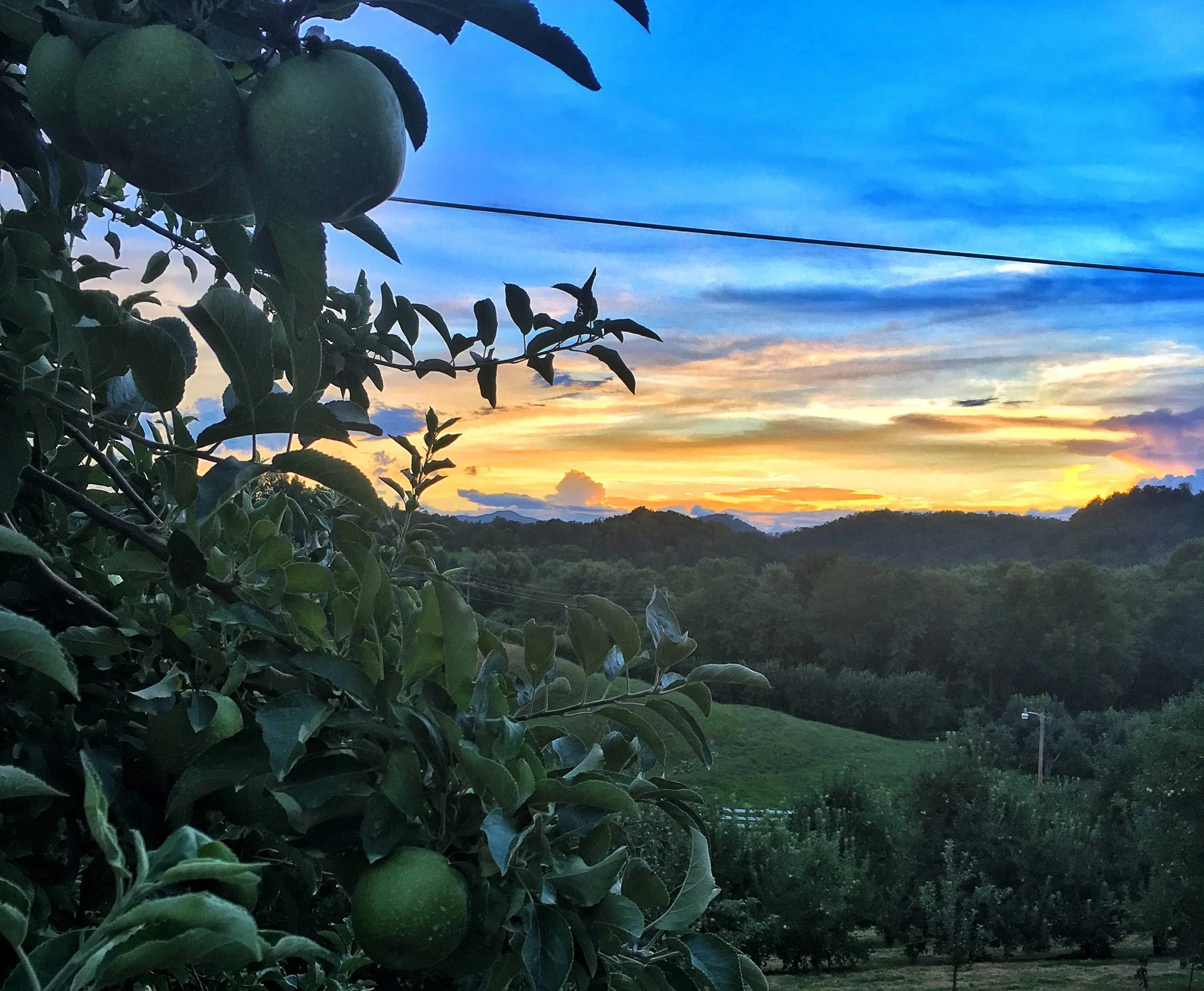 Why I Share My Story